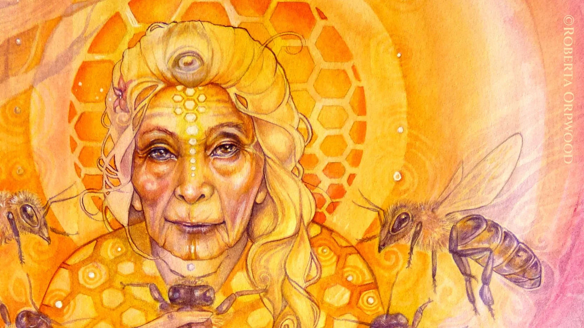 Honeyed Wisdom: Meeting a Bee Grandmother