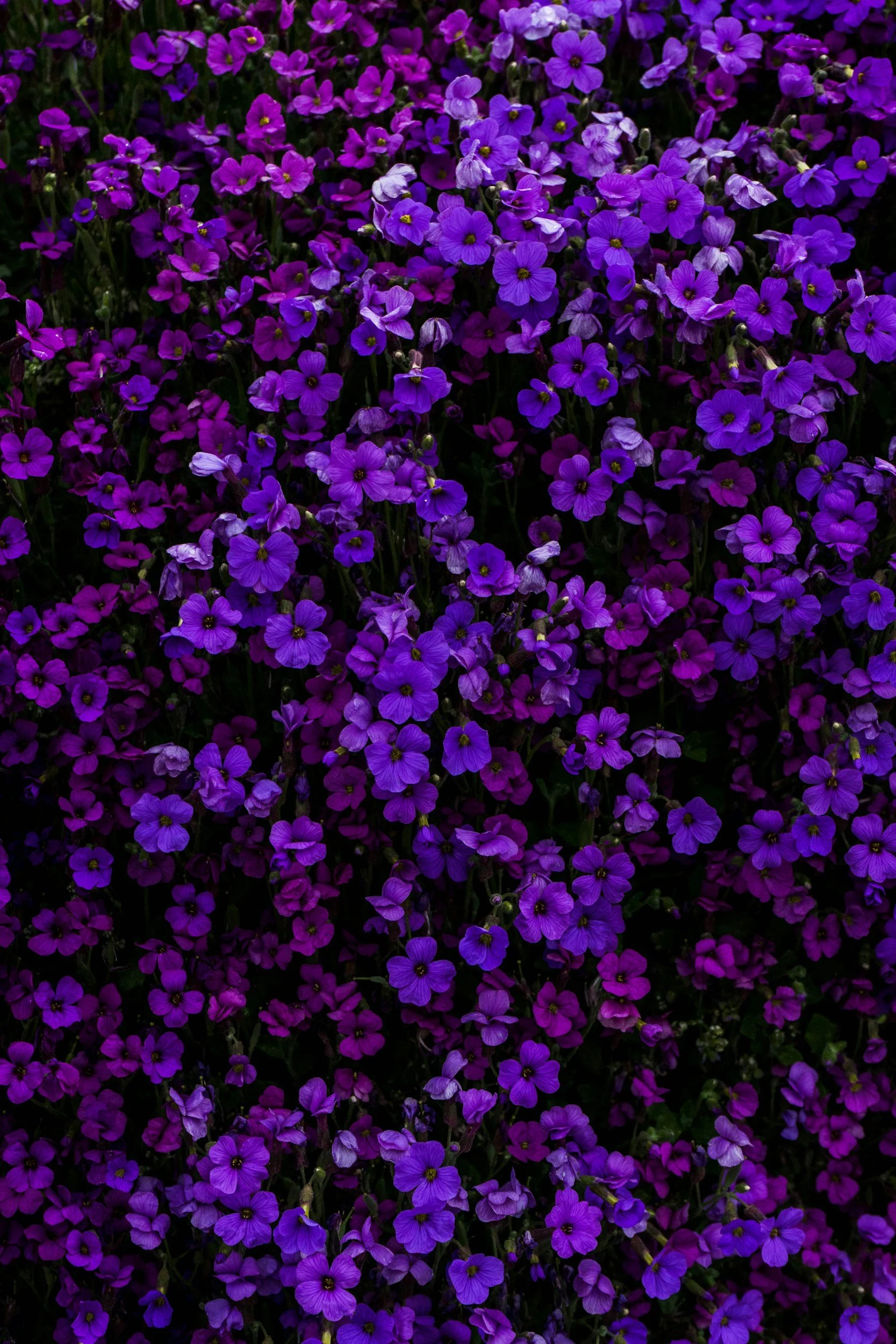 unsplash-image-mFrLqRZMx7o.jpg