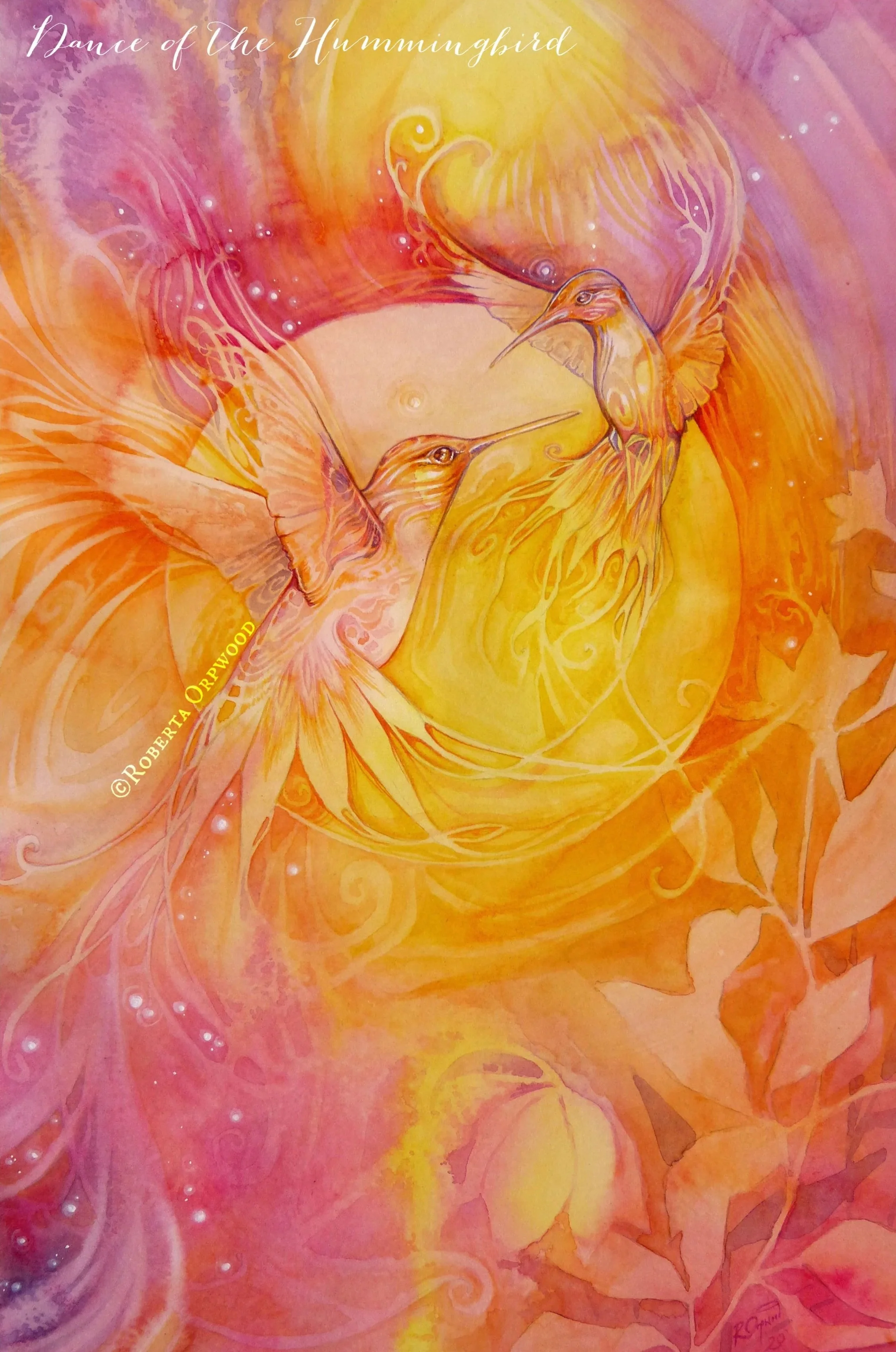 Dance of the Hummingbird