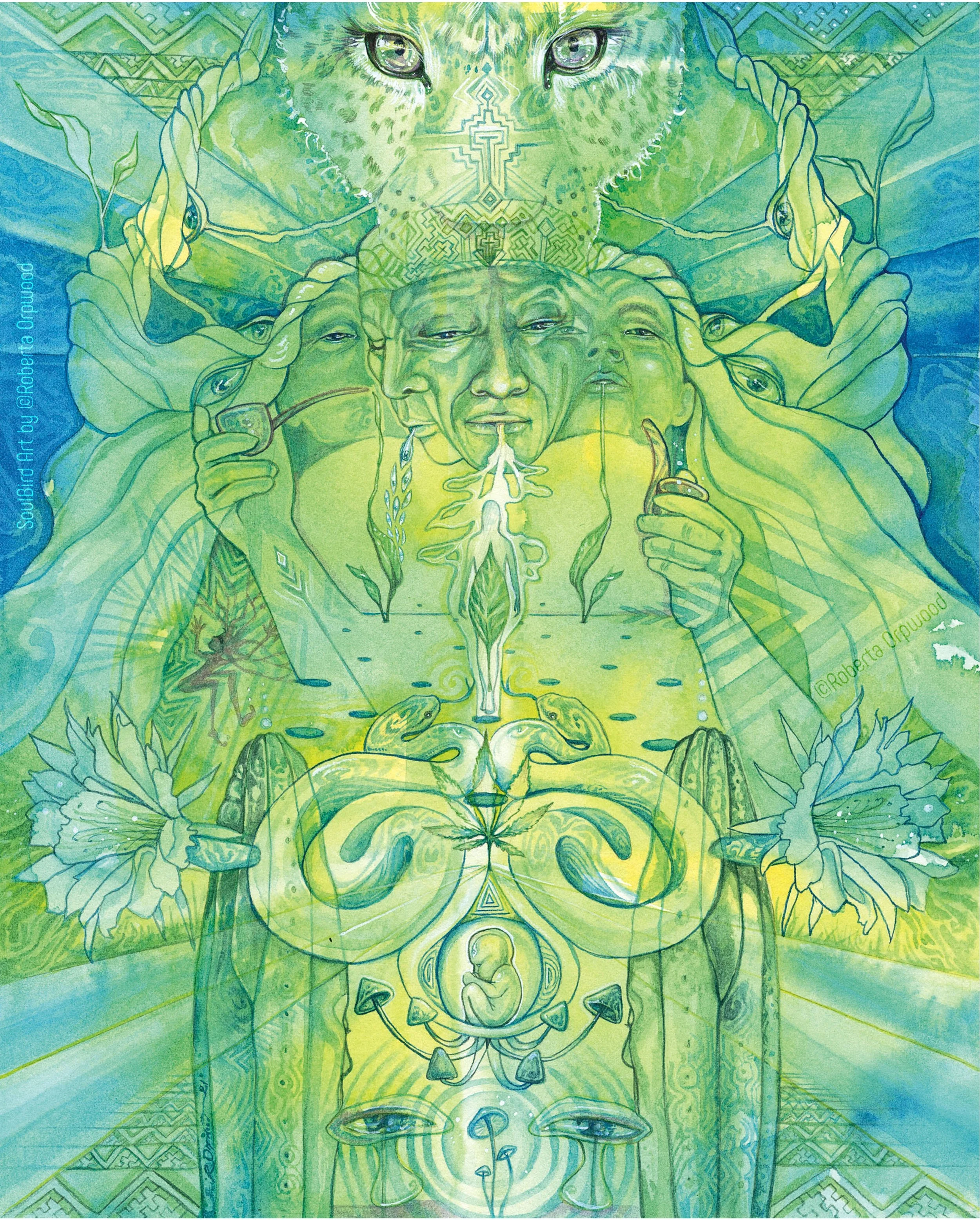 Plant Medicine Journey