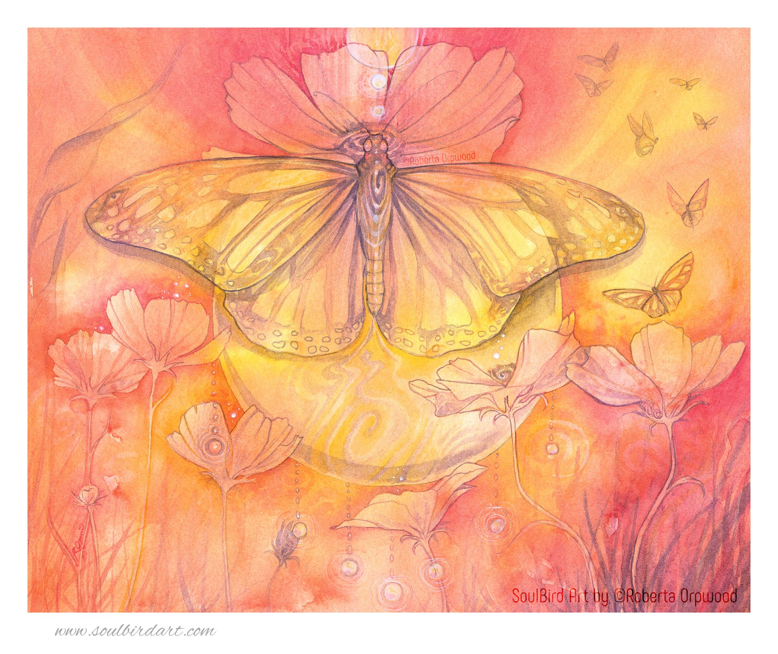 Butterfly Medicine w border.jpg