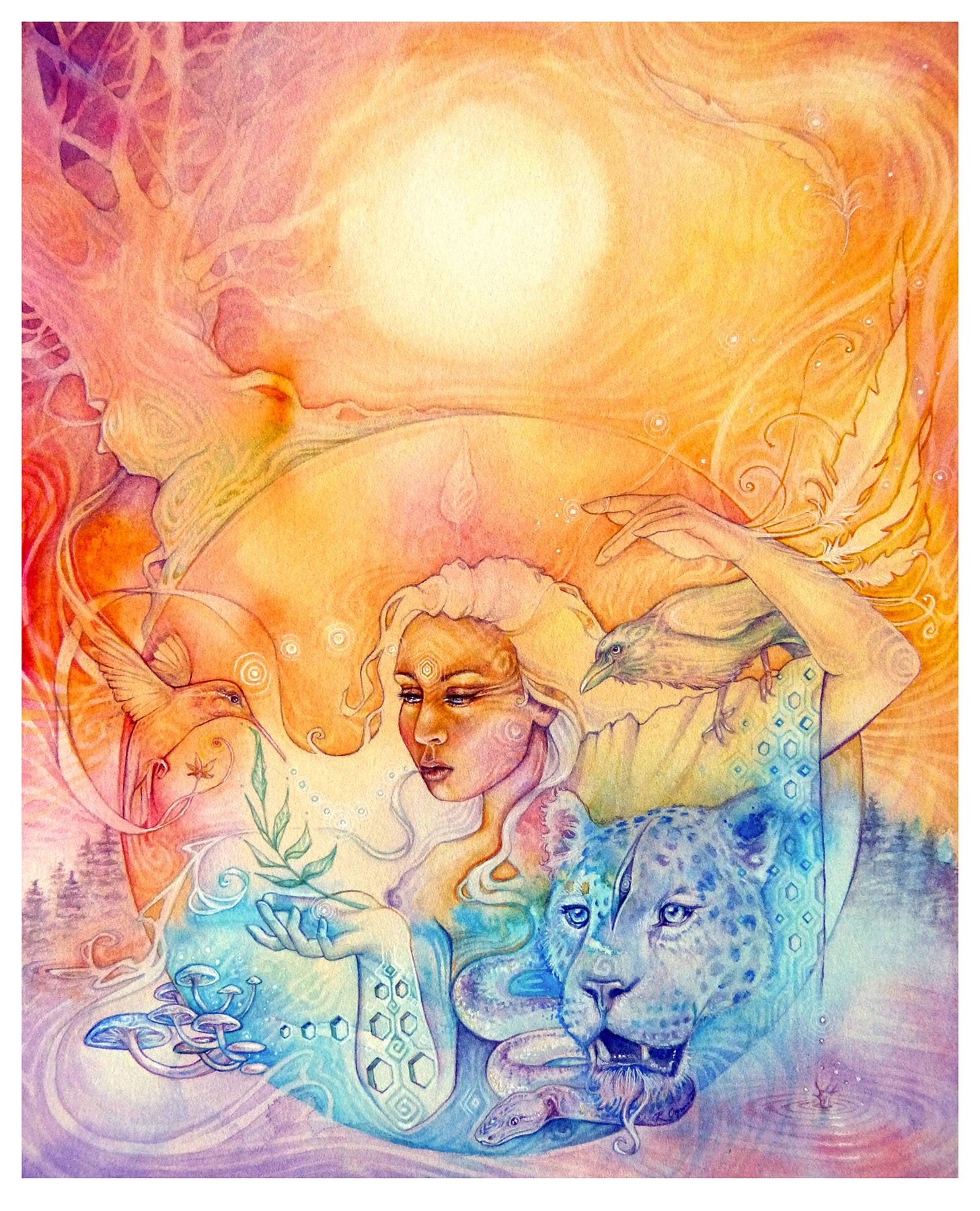 Shamanic Wisdom lo res.jpg