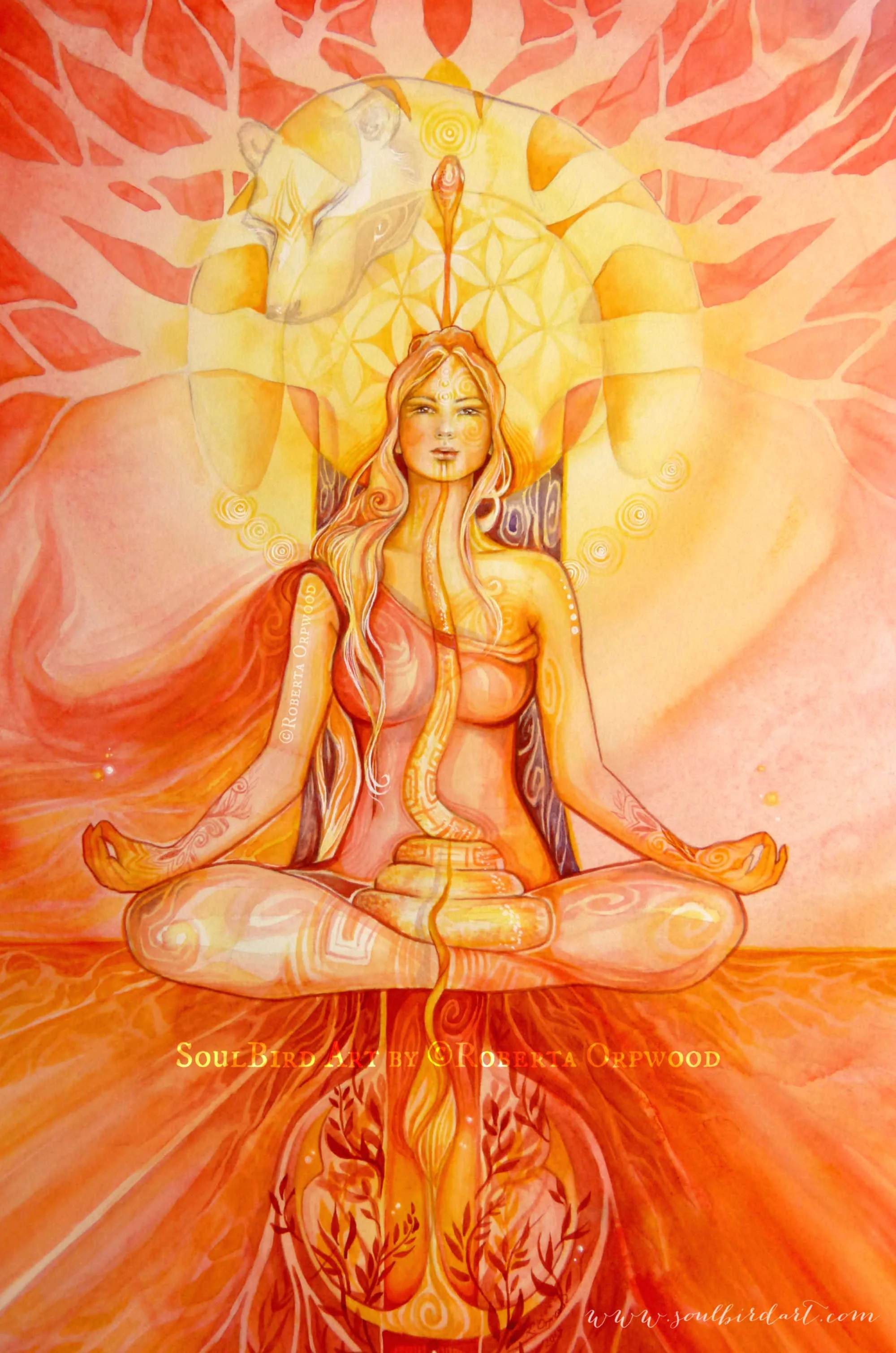 Shamanic Healing - Sacred Red Root Chakra