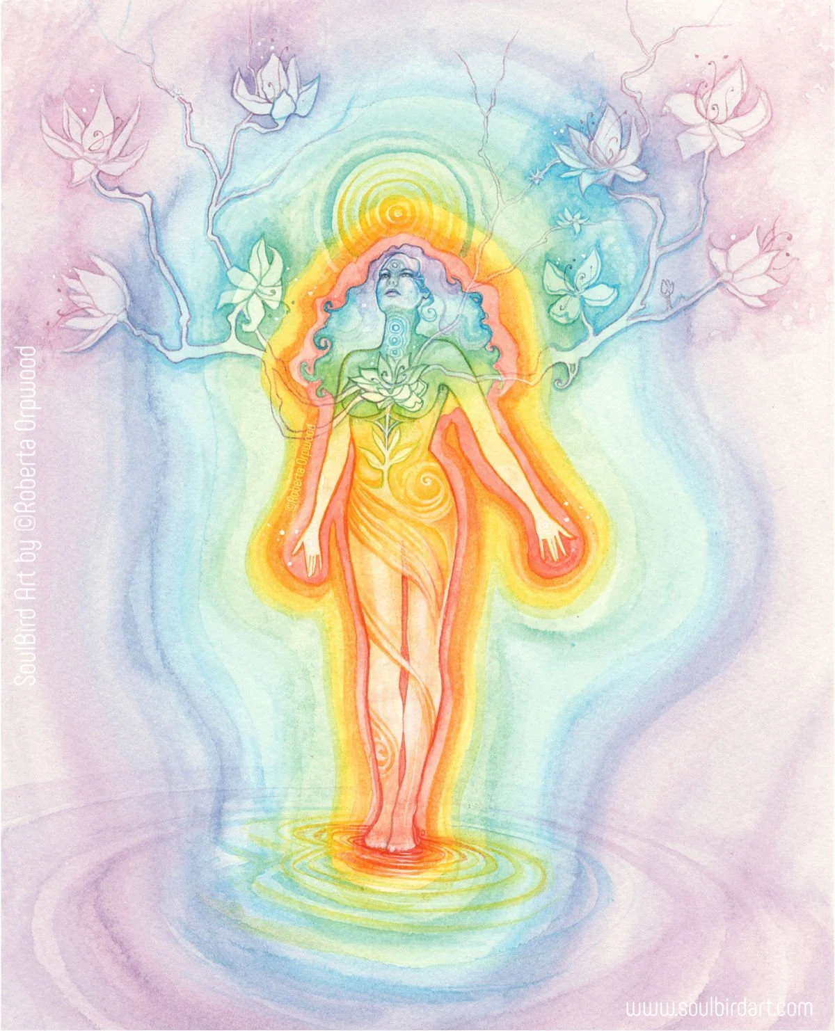 'Expanding Heart' / SB-C024