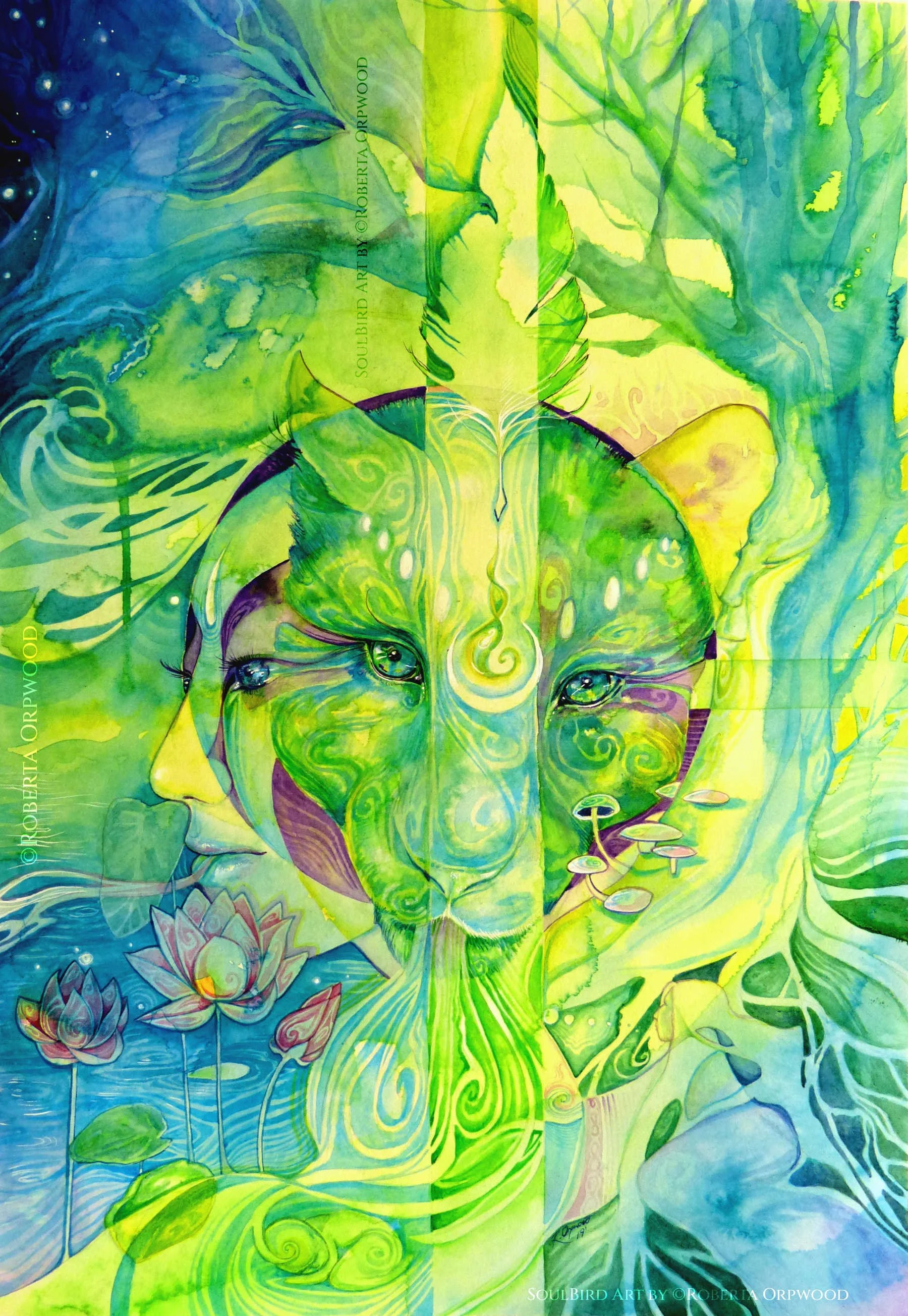 Jaguar Dreaming Art Print