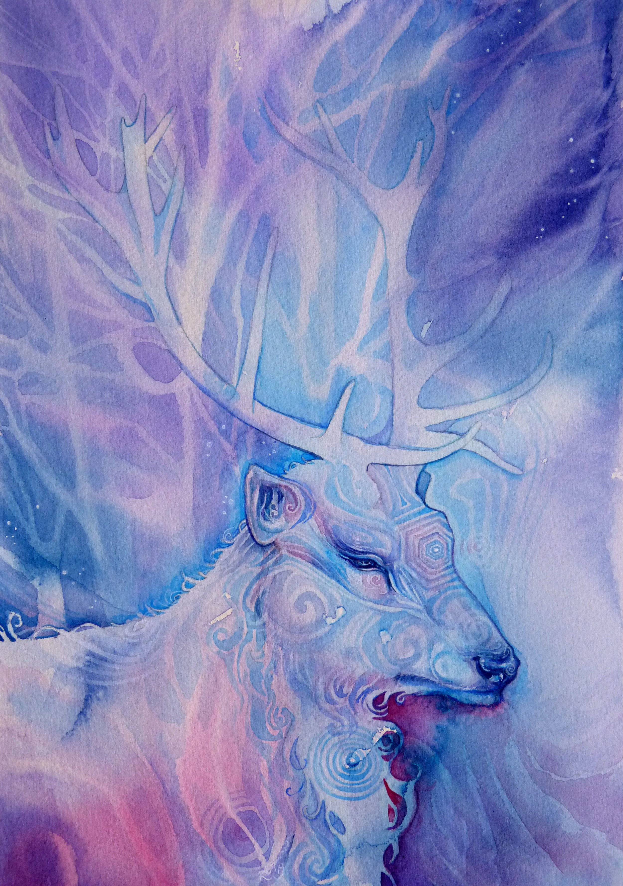 'Winter Stag' / SB-C054

