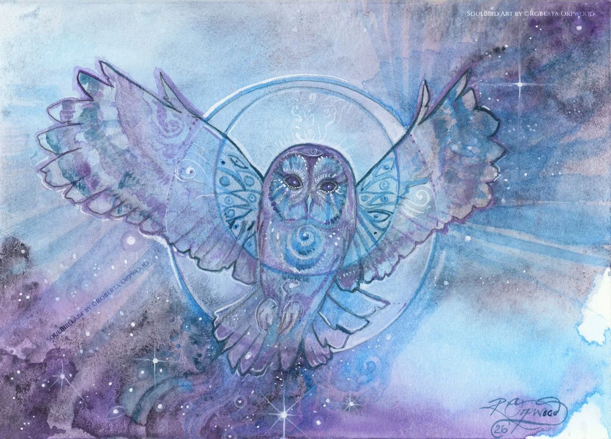 Cosmic Owl final wm.jpg