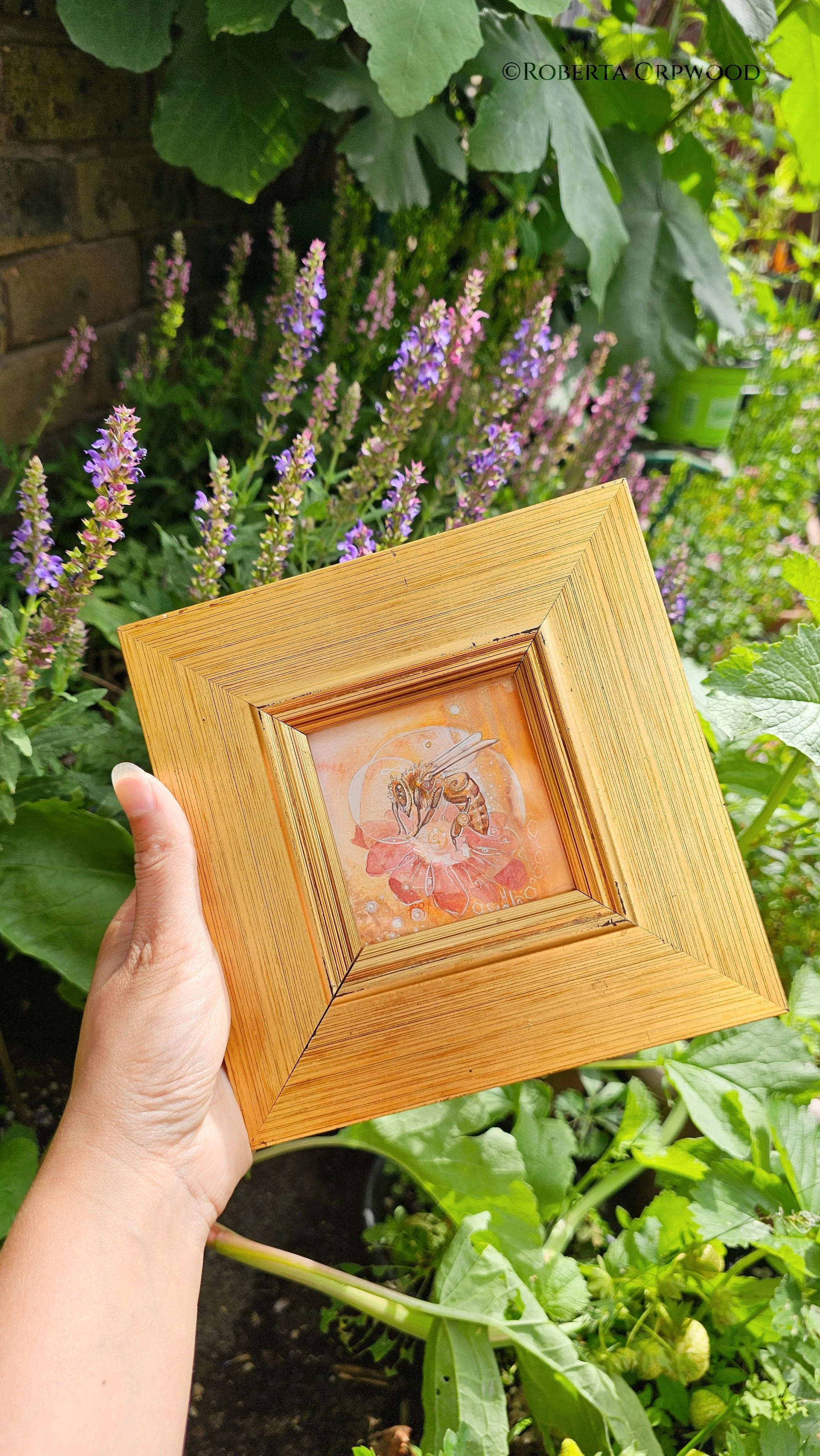 Honey Bee Framed in the garden with flowers.jpg