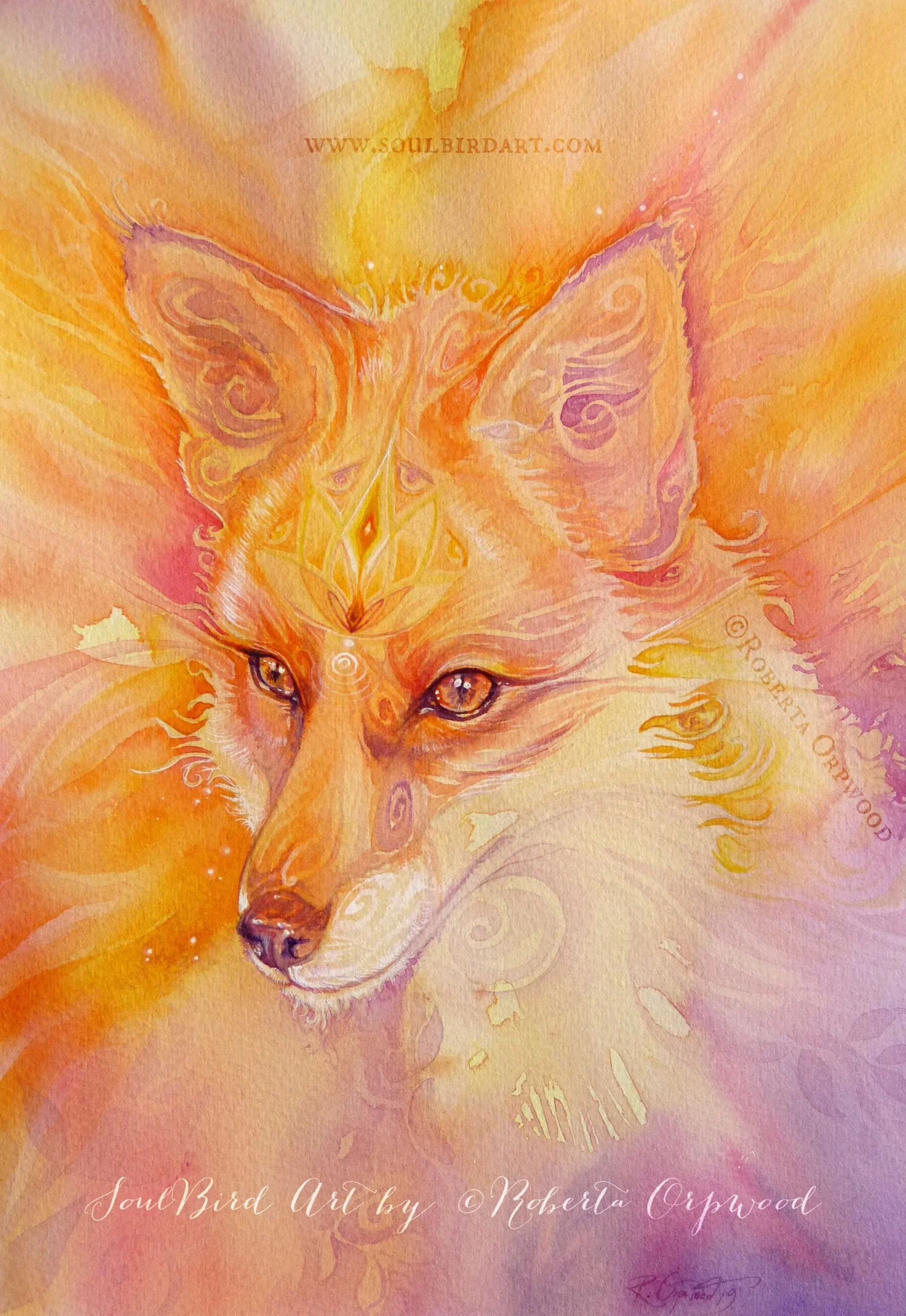 'Spirit of Fox' / SB-C053
