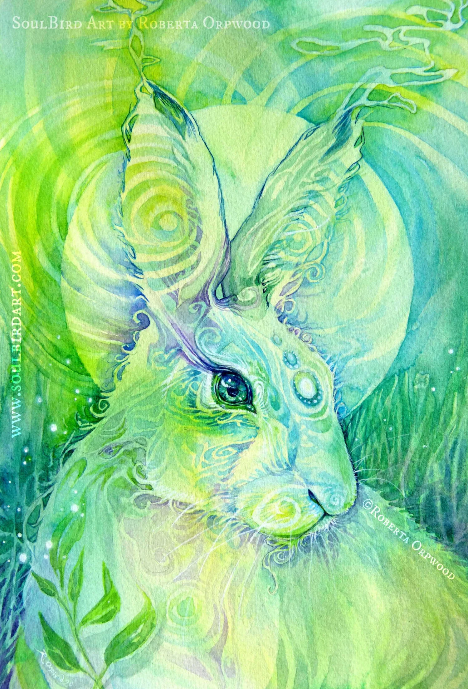 'Spirit of Hare' / SB-C046
