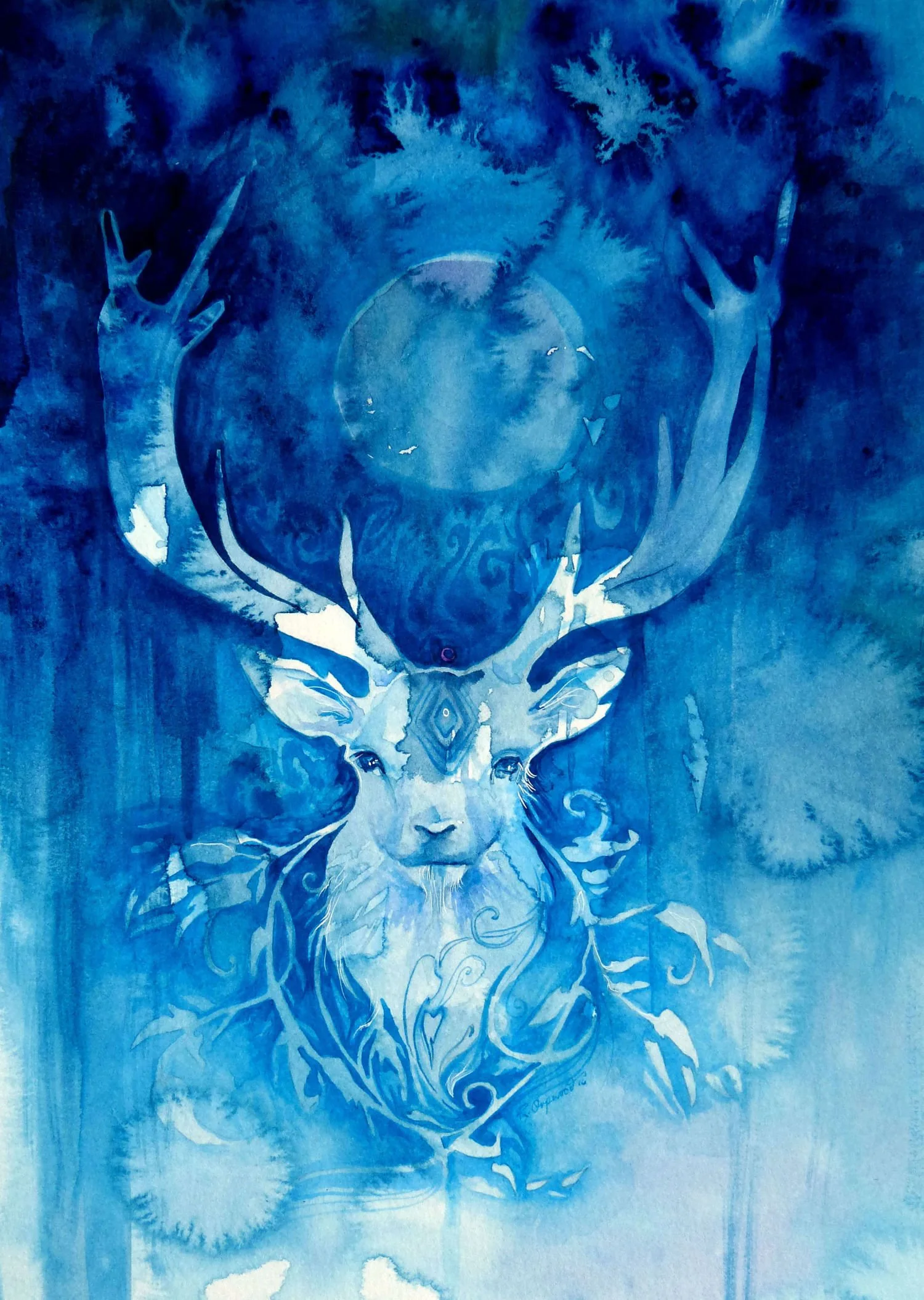 'Spirit of Stag' / SB-C050
