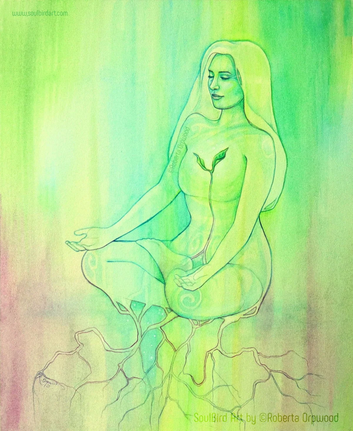'Grounding' / 
SB-C020
