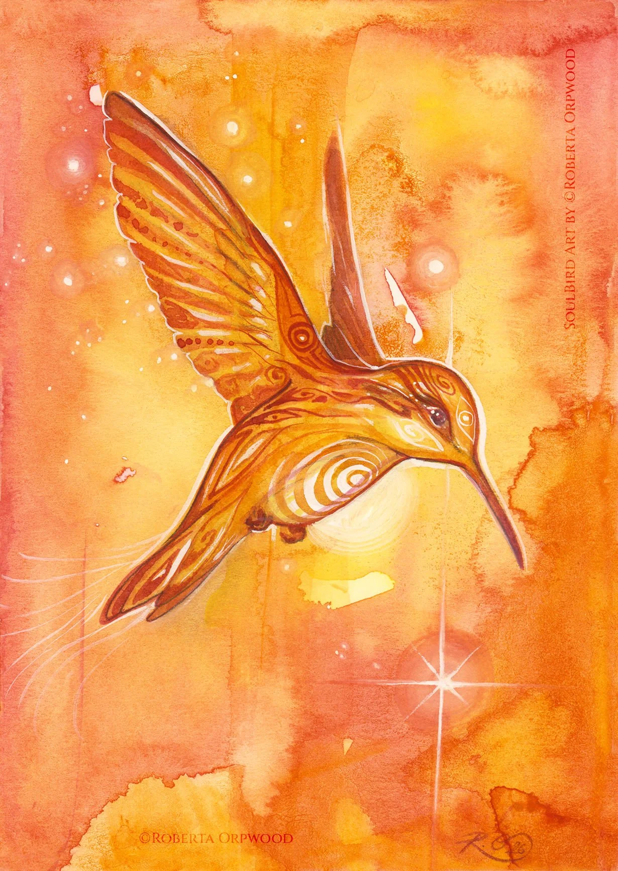 Make A Wish Hummingbird Original Watercolour Painting