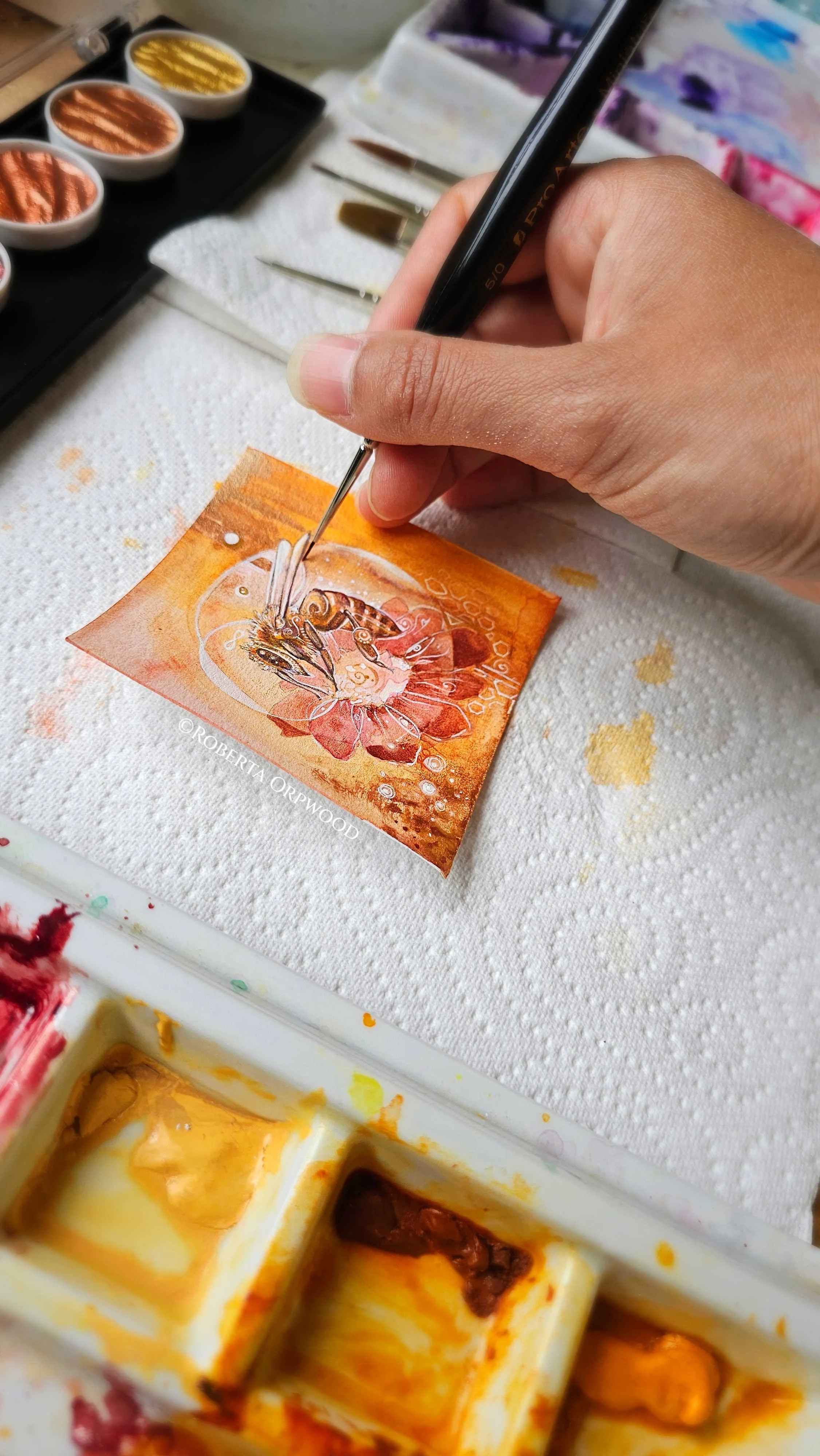 Honey Bee painting in progress by Roberta Orpwood.jpg