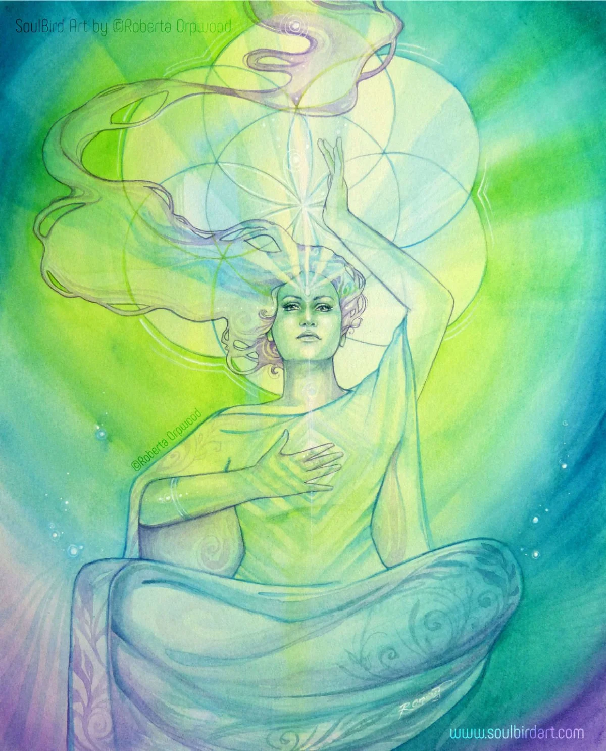 'Source Connection' / 
SB-C019
