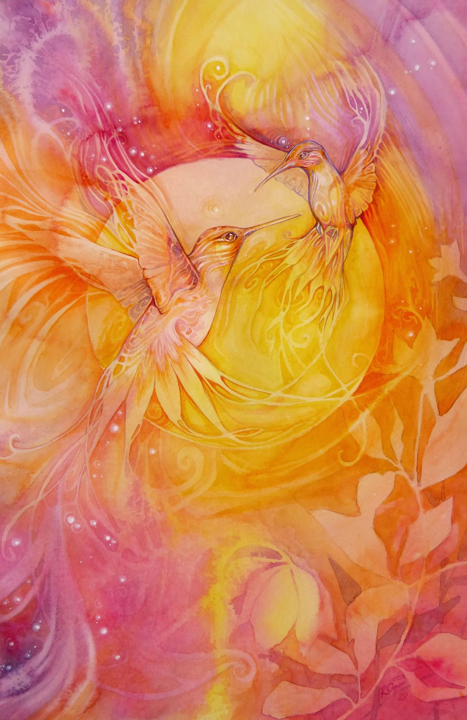 'Dance of the Hummingbird' / SB-C051
