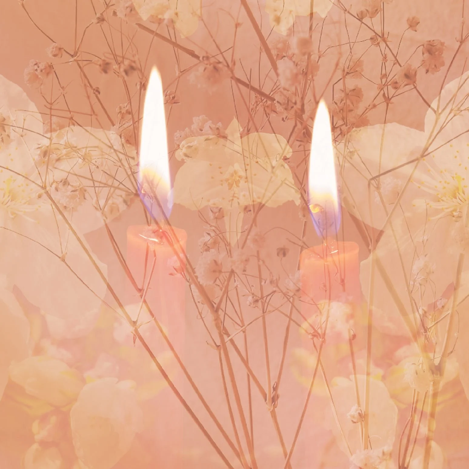 two flame Roberta Orpwood.jpg