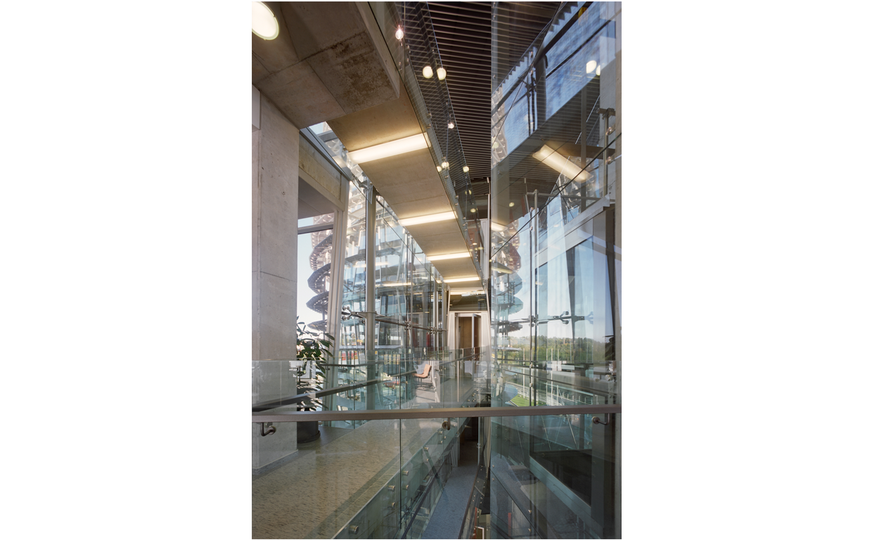 Inside view of a modern glass-walled building with a walking corridor, concrete ceilings, and multiple levels visible through the glass, with spiral slides outside the building.