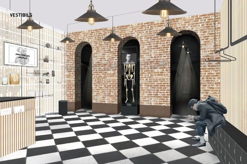 A modern interior of a museum or educational space with a black and white checkered floor, exposed brick walls, and a skeleton display in a glass case. There is a person sitting on a bench looking at their phone, and decorative lighting hanging from the ceiling.