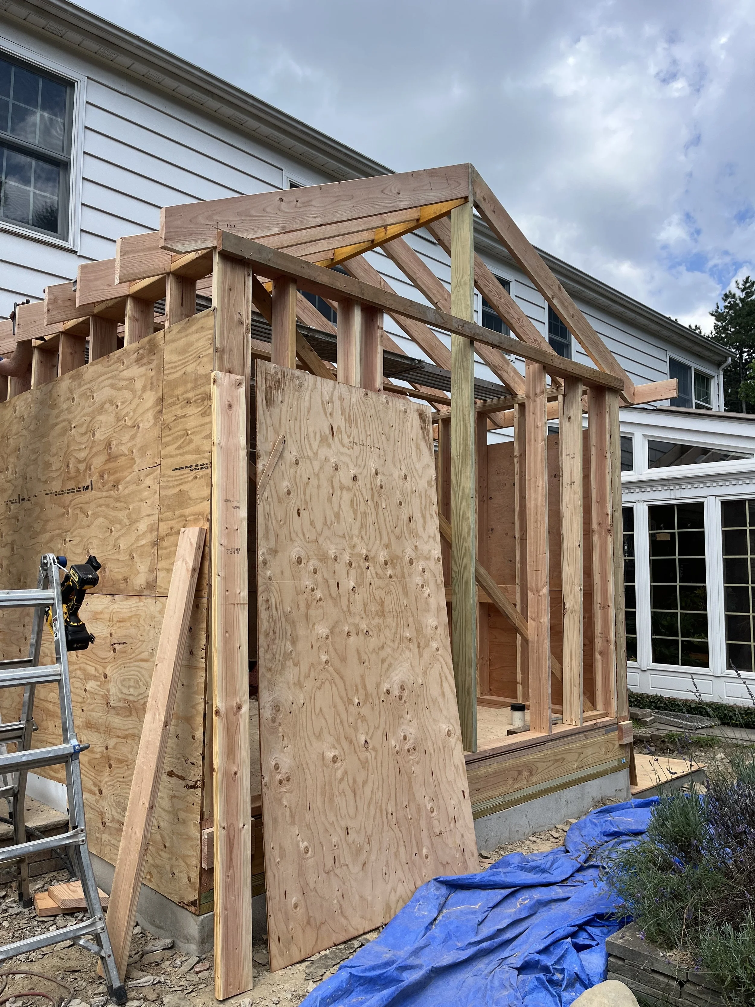Wood framing of a small house or shed under construction, with plywood sheets and a ladder nearby, in a backyard with a white house in the background and a blue tarp on the ground.