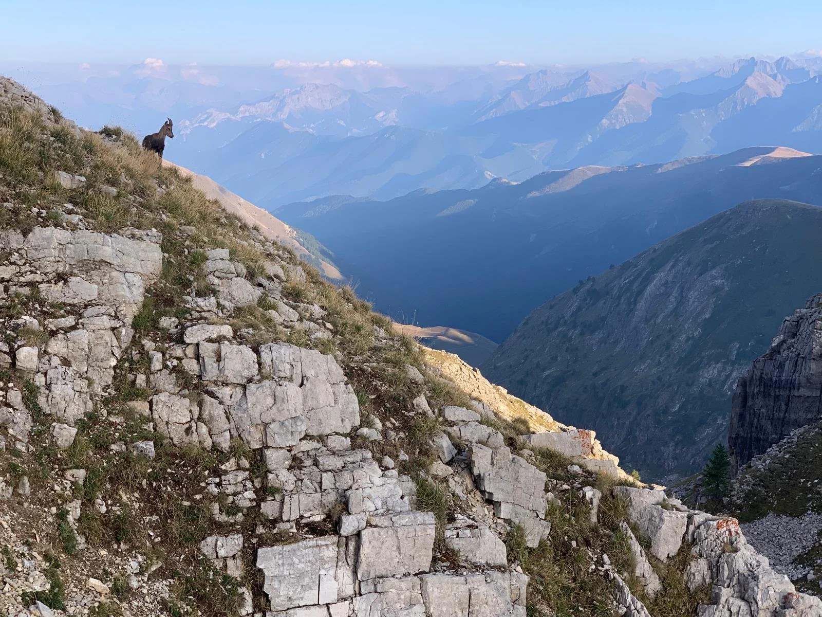 ‘Spirit of the Wild’ retreat