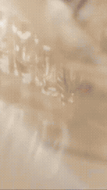 Cut Chloé 2.gif