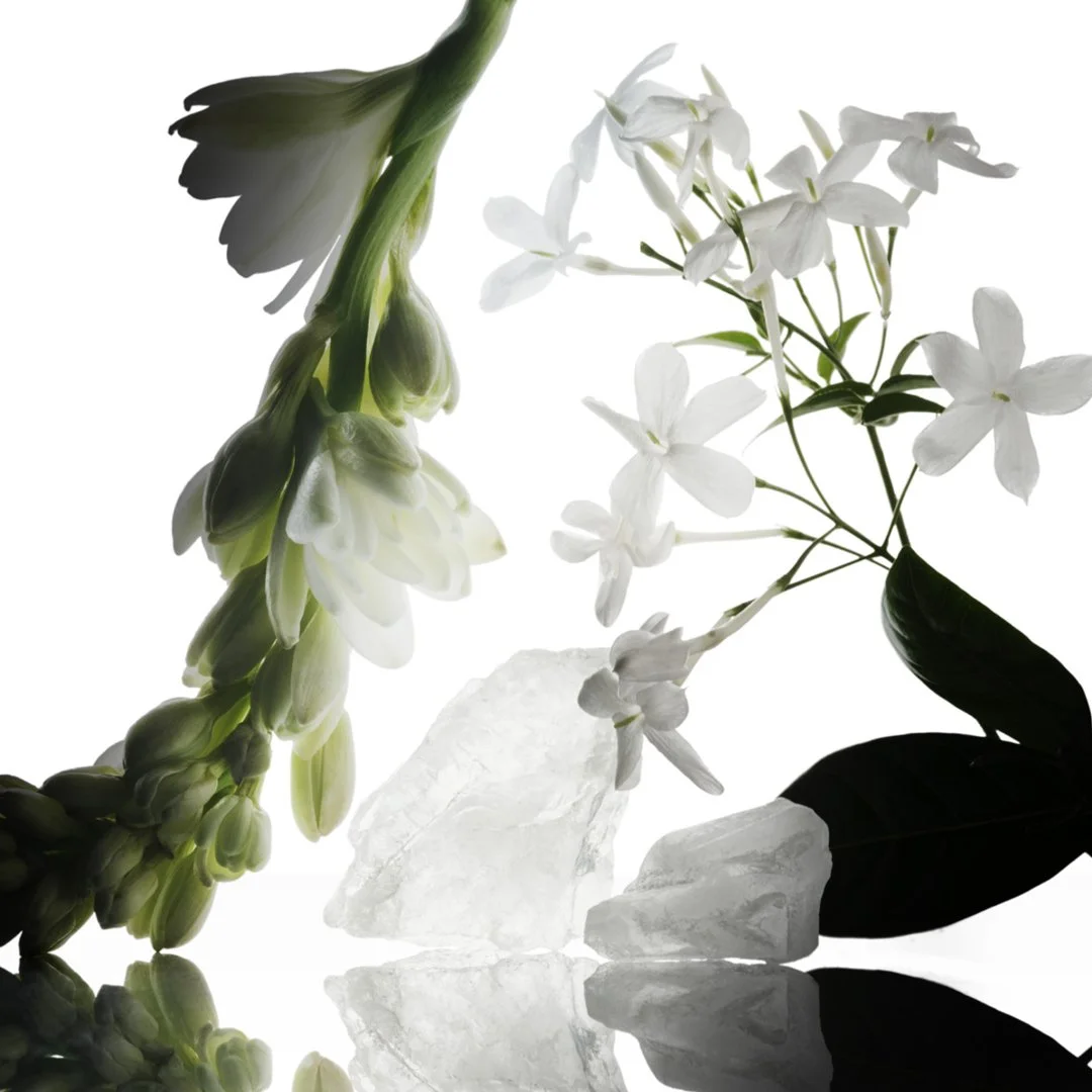 NR MUSC COLLECTION WILD TUBEROSE EDPI 2024_INGREDIENTS_RGB Web_11_72dpi.jpg
