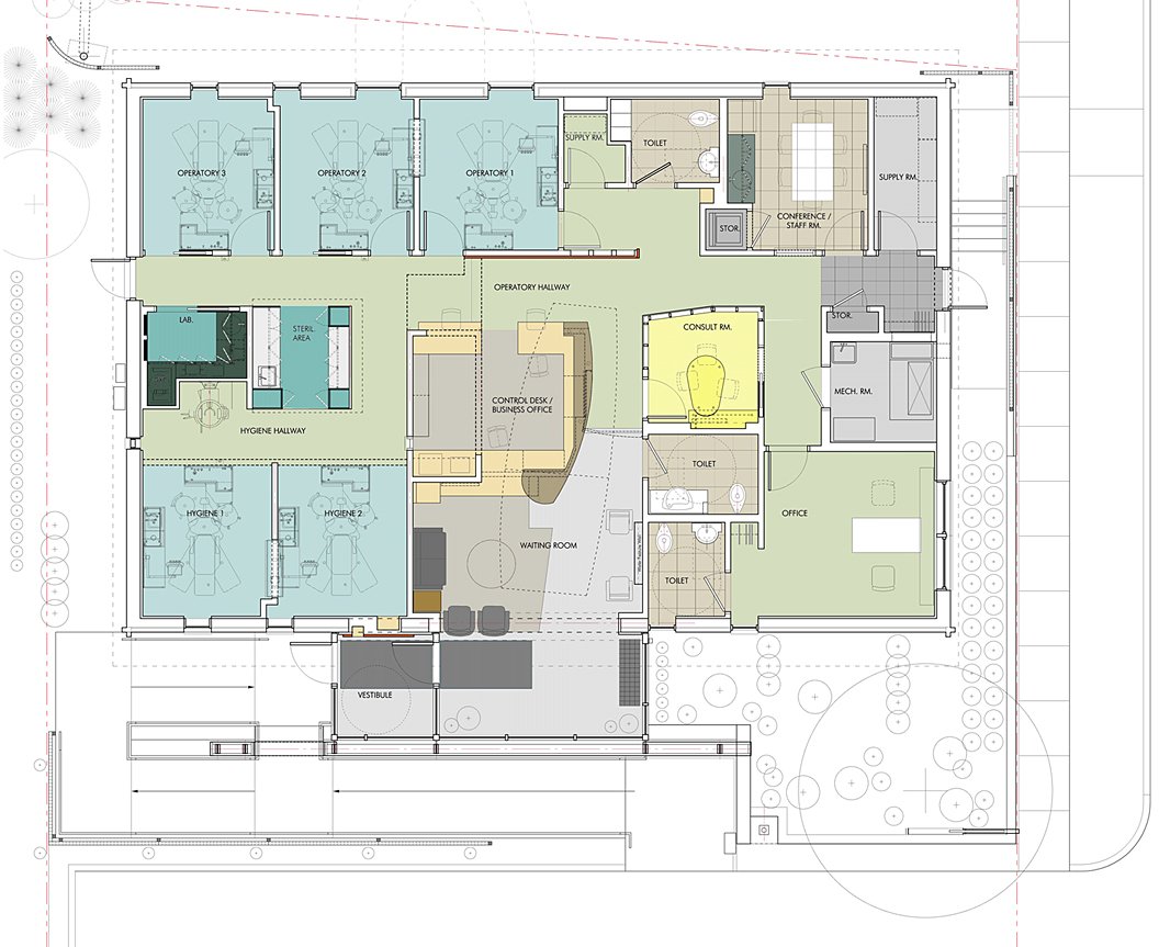Dentalium_3plan_small.jpg