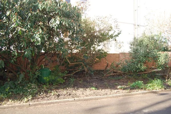 This was the entrance strip before the permablitz in January 2014