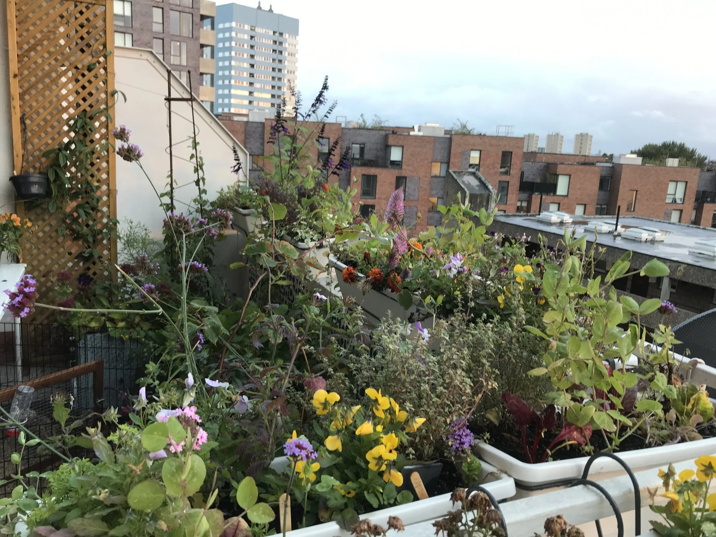 Introduction to Permaculture