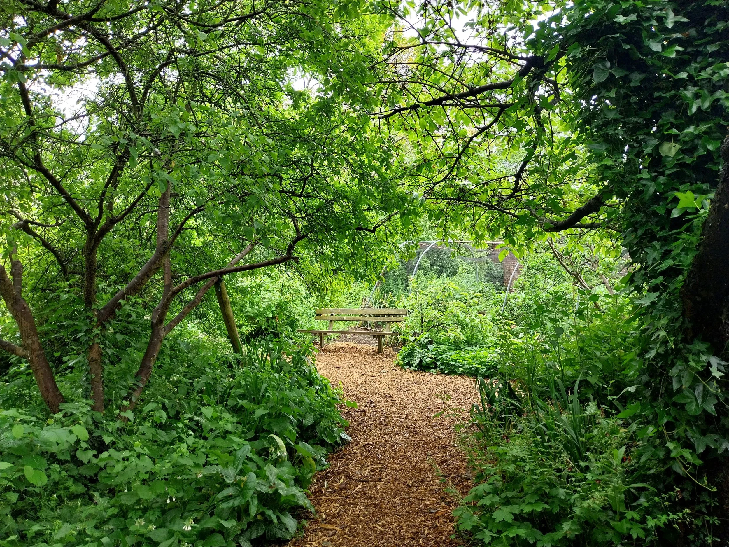 Permablitz at Brockwell Park Community Greenhouses
