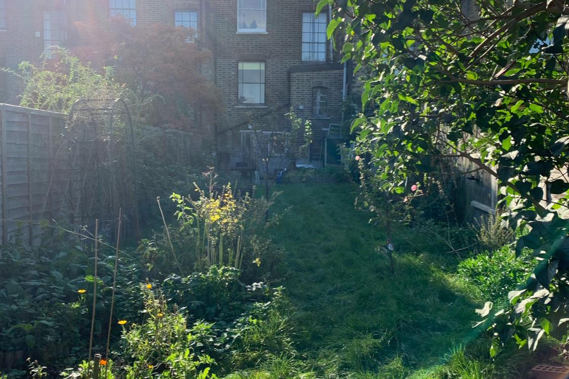 Cat's Garden Permablitz