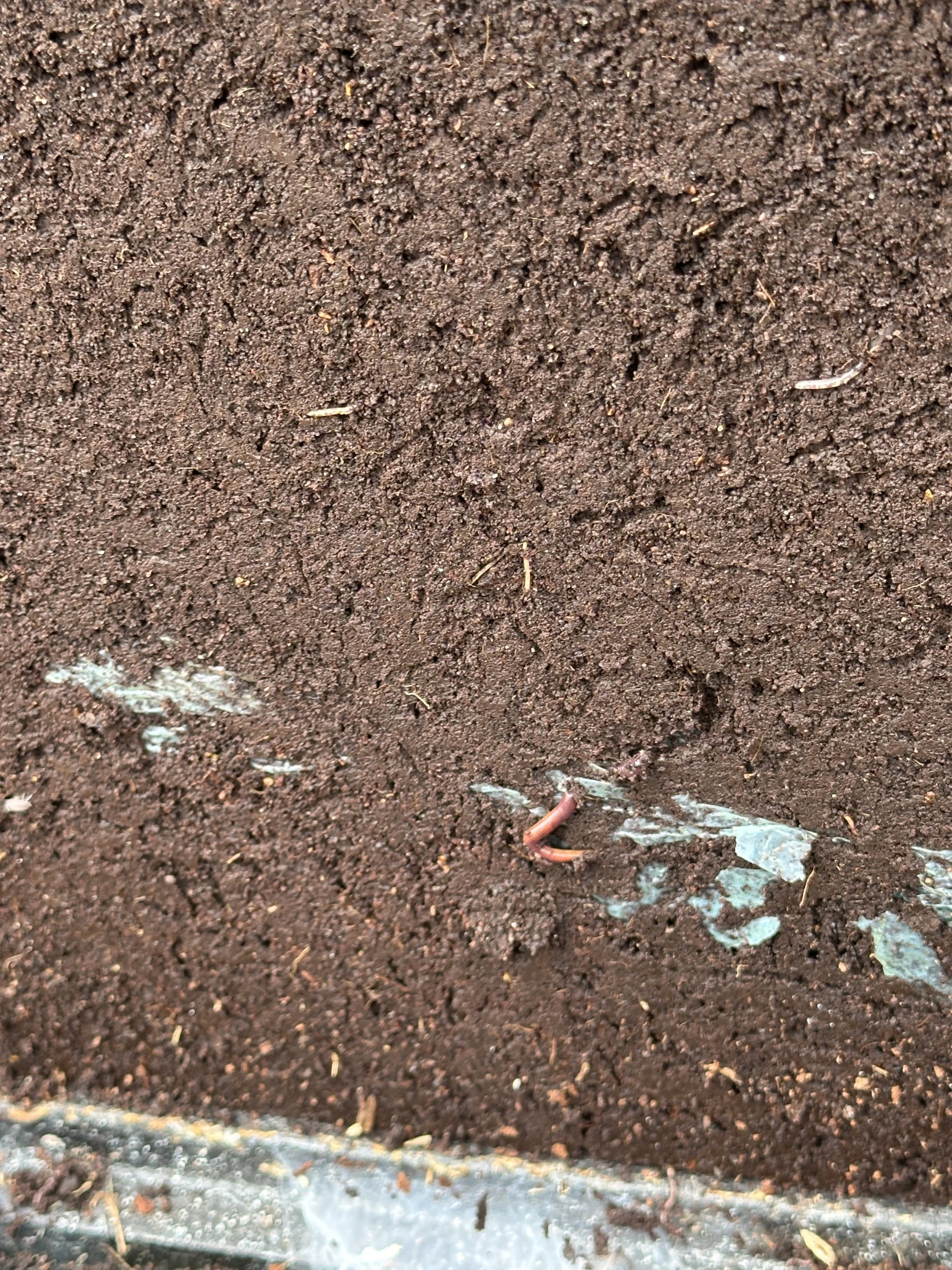 Biology-rich composting permablitz at Kentish Town City Farm