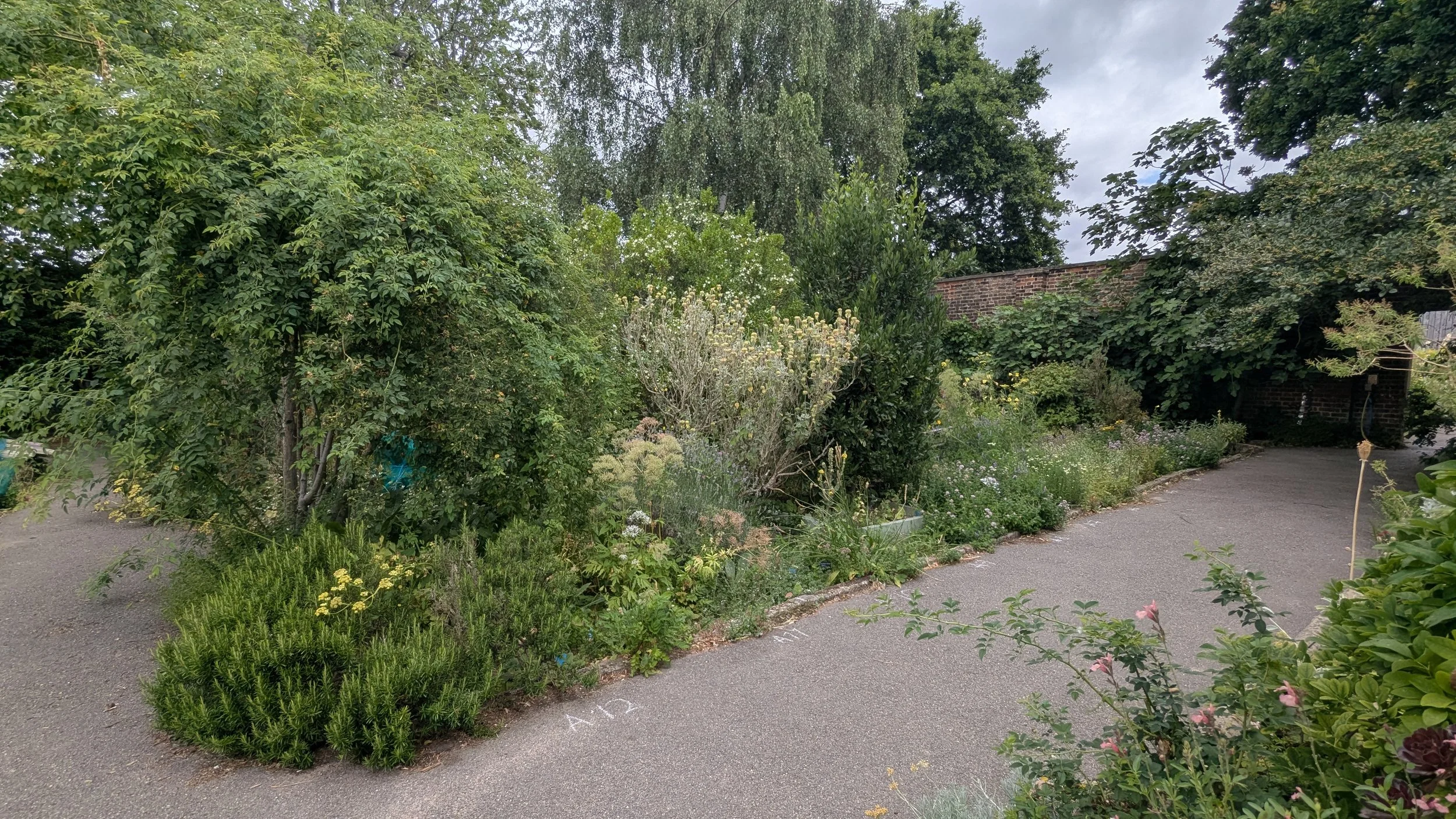 Summer herb garden Permablitz at Brockwell Park Community Greenhouses