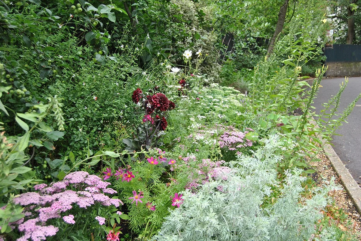 Colourful flowers means a feast for bees, butterflies and all the other insects that rely on nectar and pollen