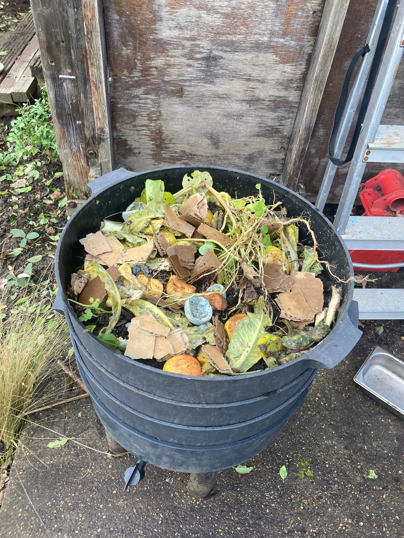 Learn all about composting: a Permablitz to install new composting ...