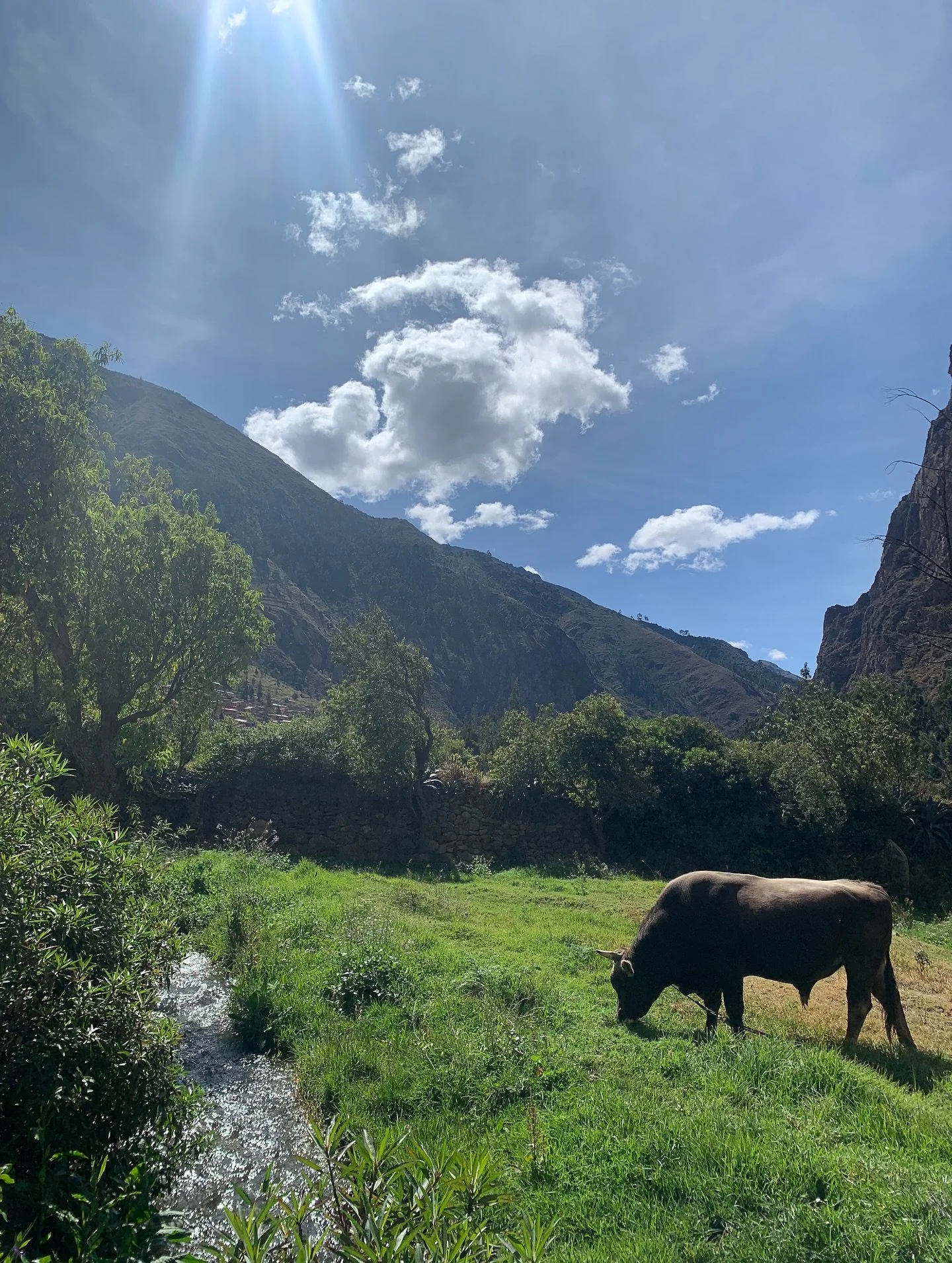 Continually in awe, mesmerised and stunned by the sites and their energies we are able to connect with and witness. This  was only a few days after the solstice (winter one here in Southern hemisphere) and you can see the crispness, magnetised and am