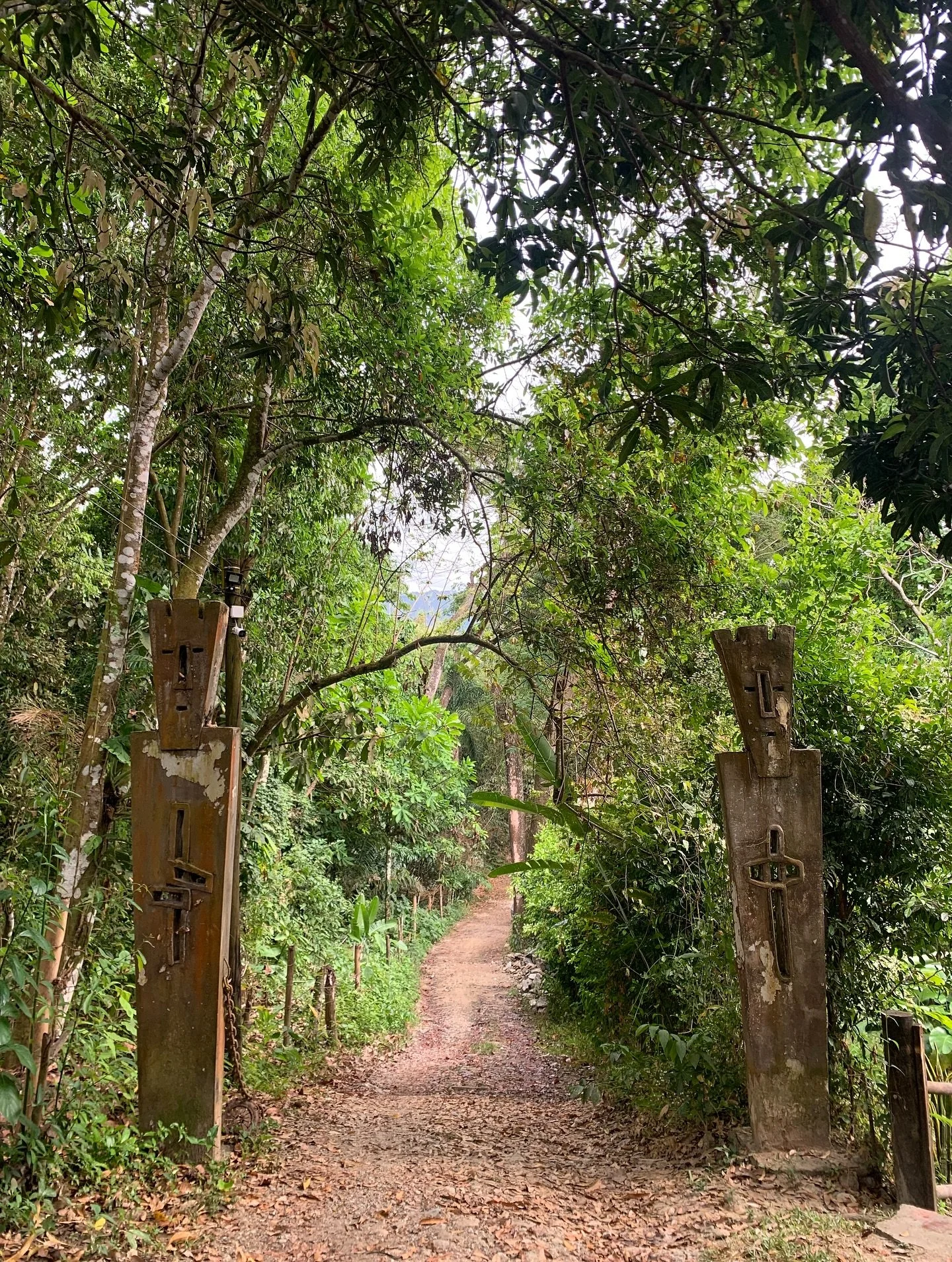 Imbolc ☆ Full moon in Leo with Aquarius Stellium ☆

Blessings and prayers to wherever this meets you.

Crossing thresholds 
Transitioning, still shedding the year of the snake through our winterings 
Across timezones and borders
My circadian rhythm s