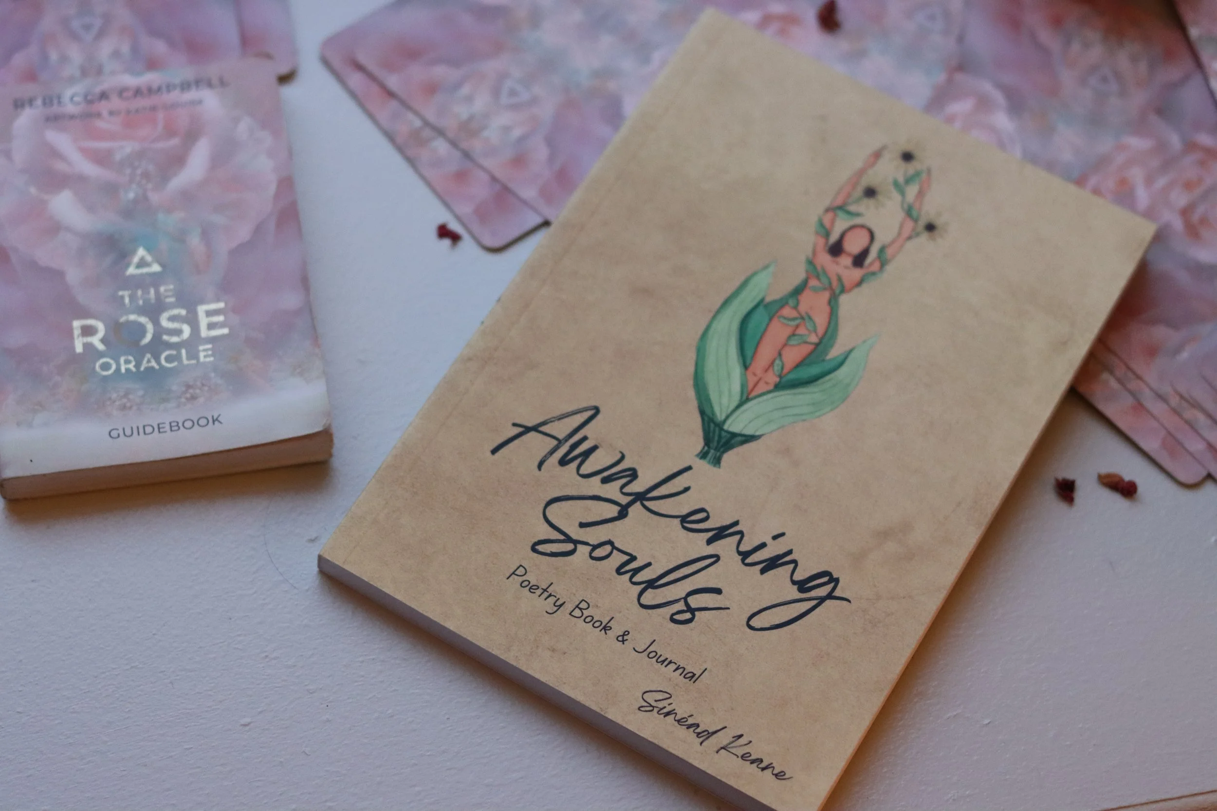 Awakening Souls Book & Journal