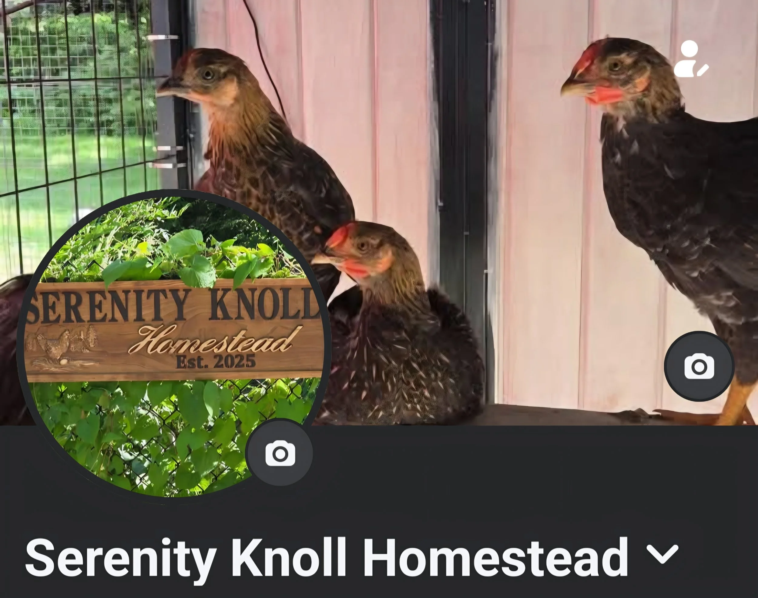 Find us on Facebook here