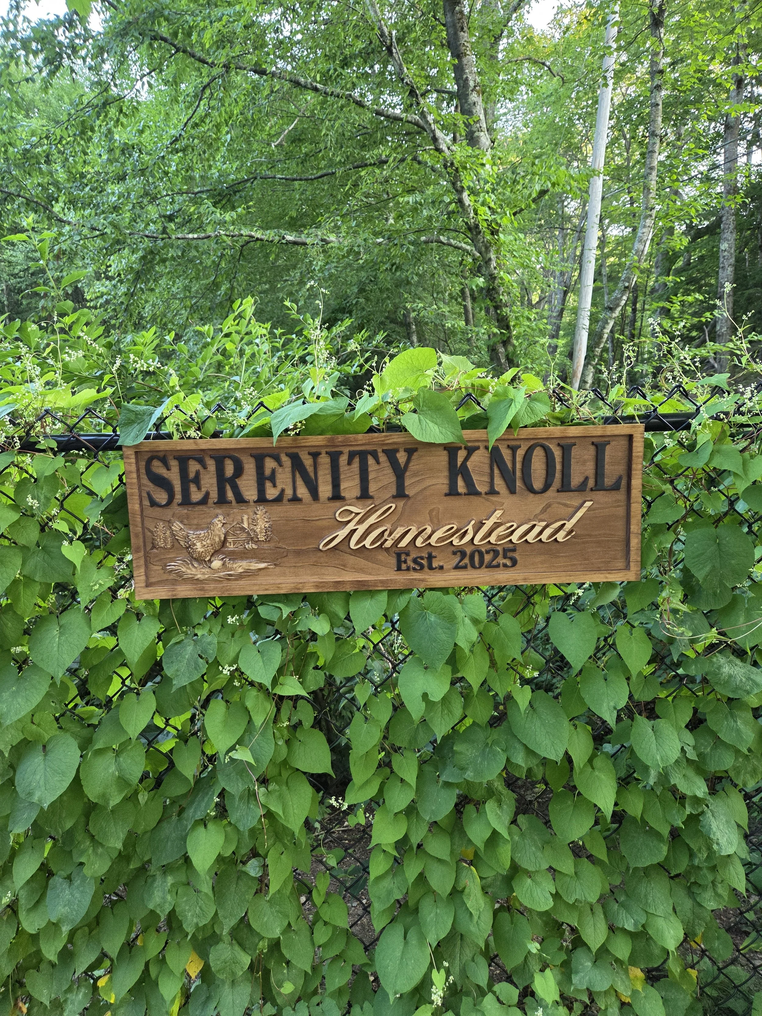 Wooden sign on a chain-link fence with green leafy vines, reading 'Serenity Knoll Homestead Est. 2025' in a lush wooded area.
