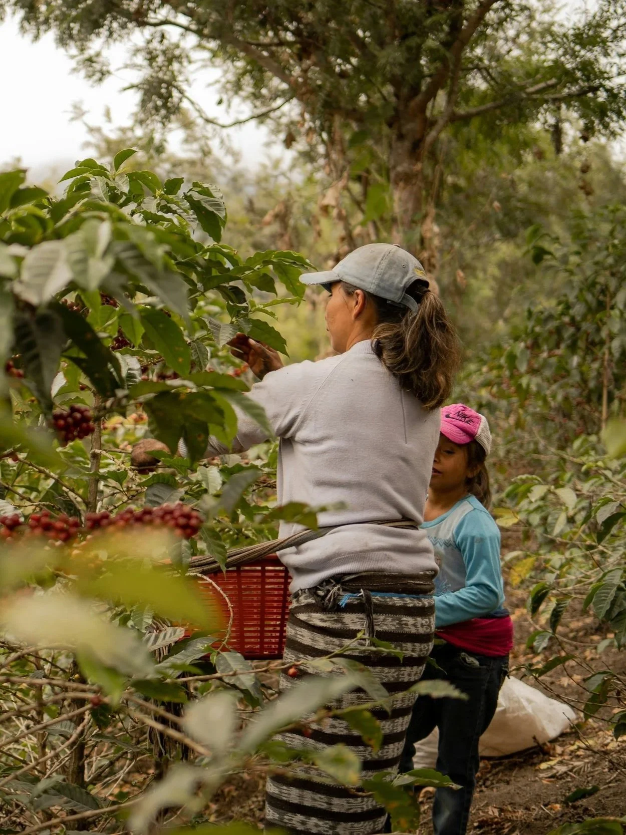 Why Ethically Sourced Coffee Actually Matters