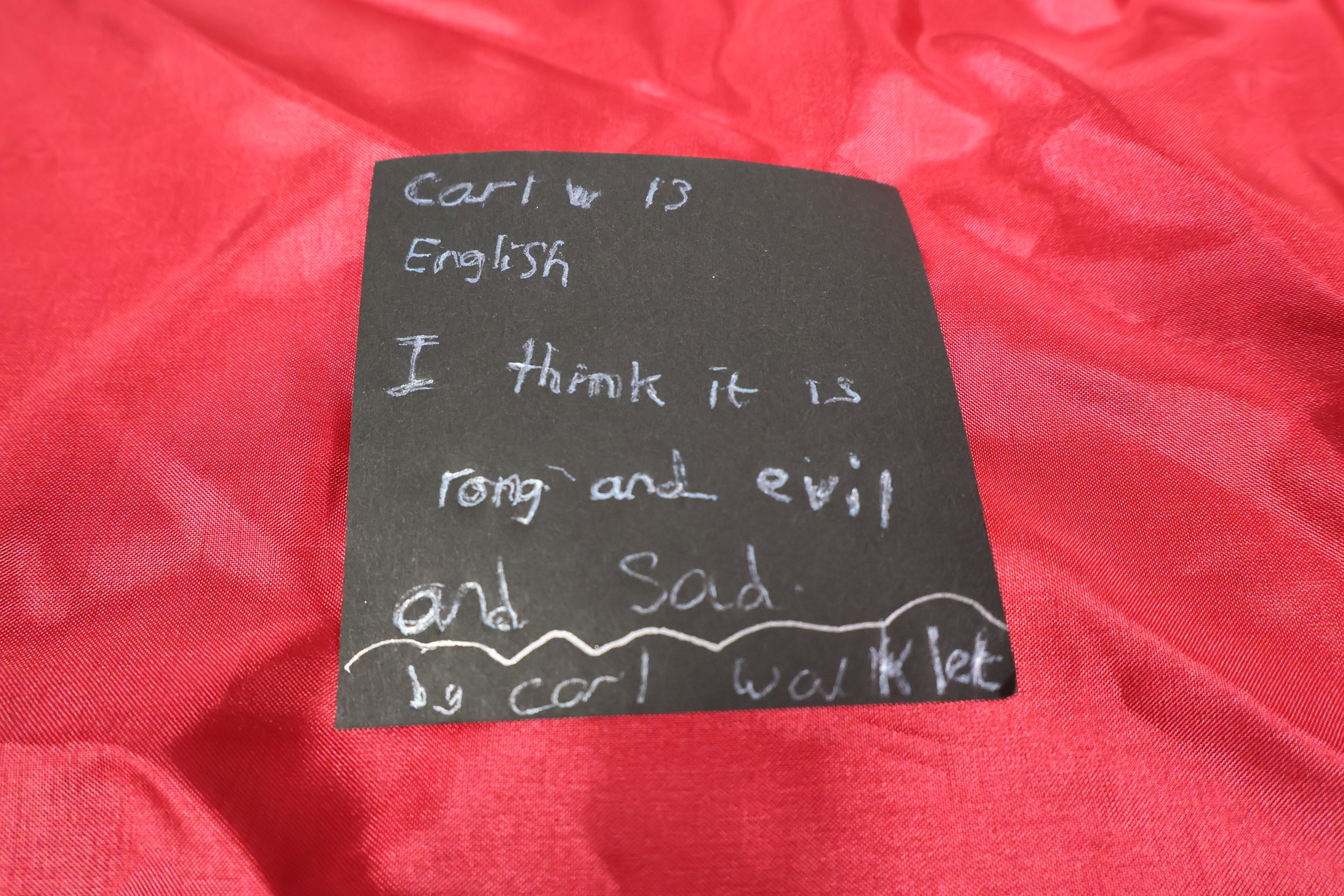 28. Carl (age 13).JPG