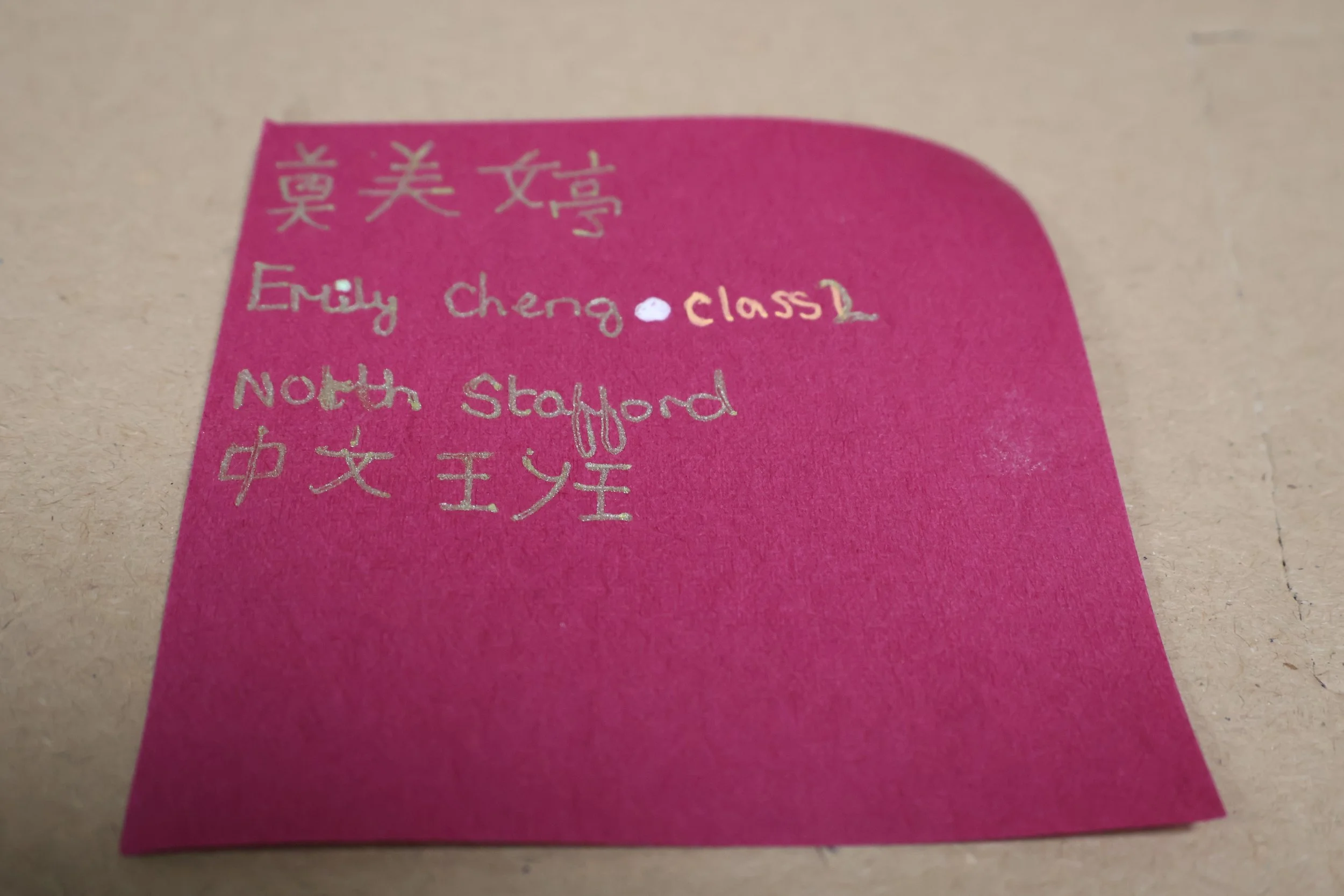 22. Emily Cheng.JPG