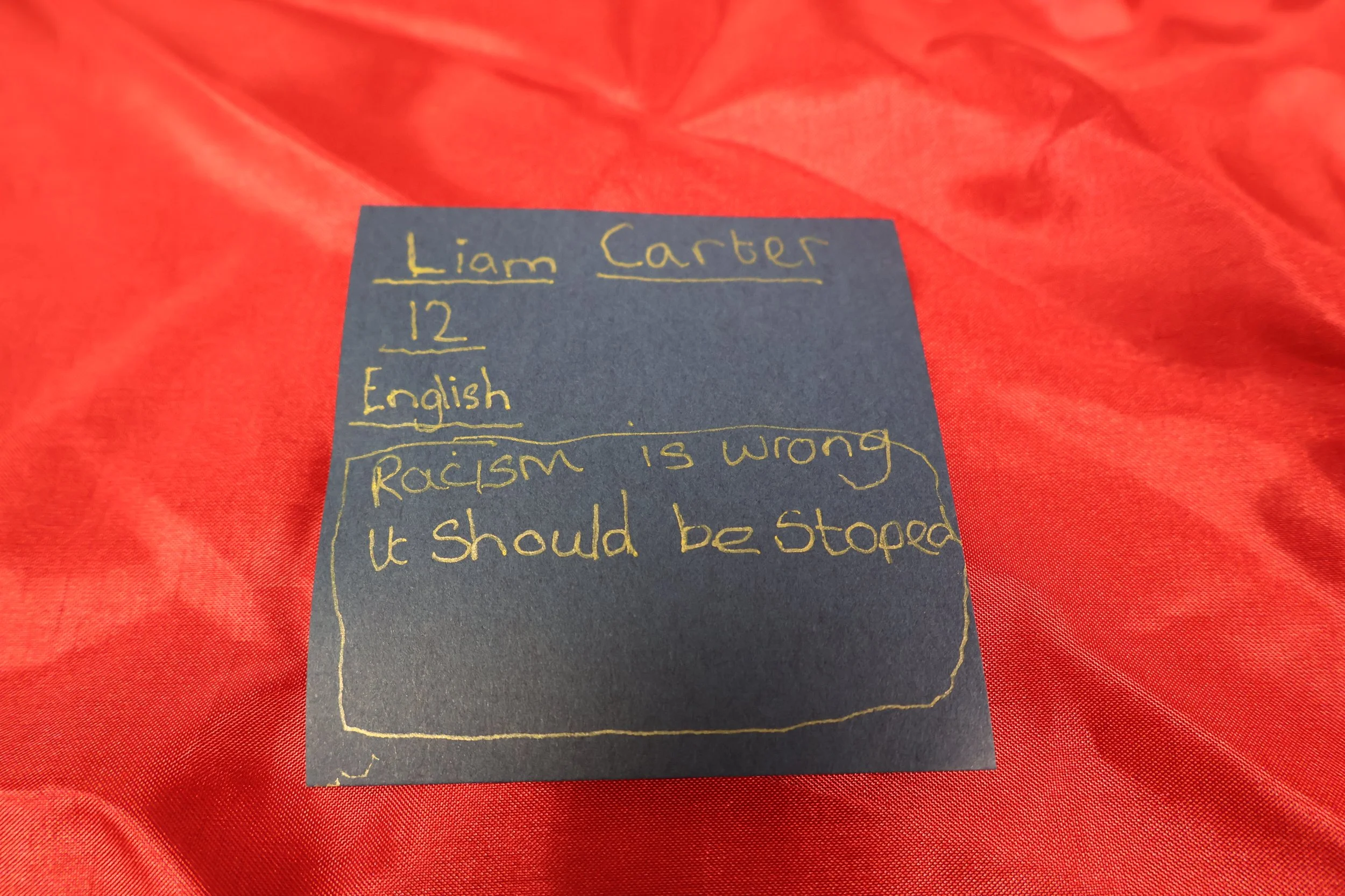 26. Liam Carter (age 12).JPG