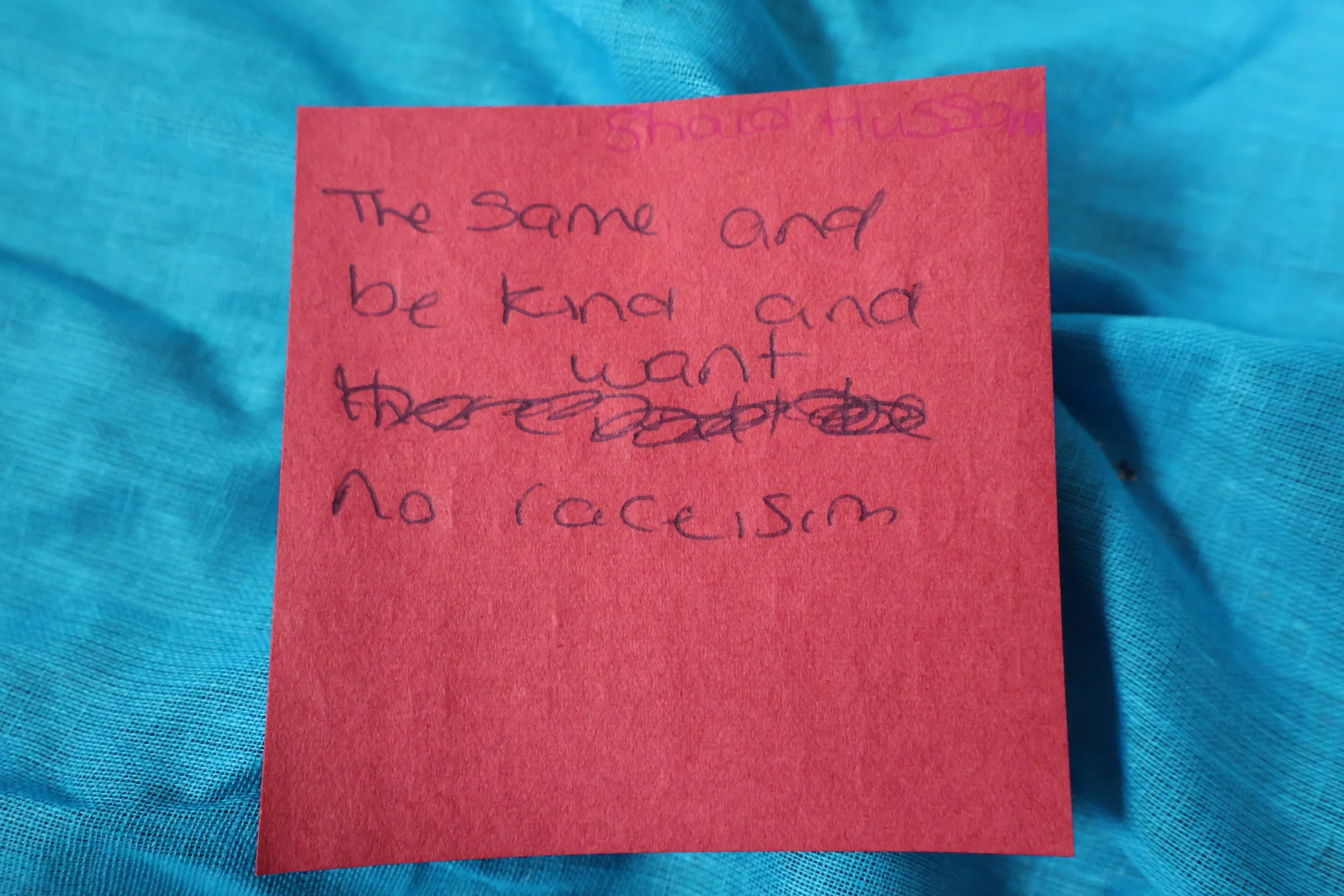11. Shaid Hussain, 13 yrs old.JPG