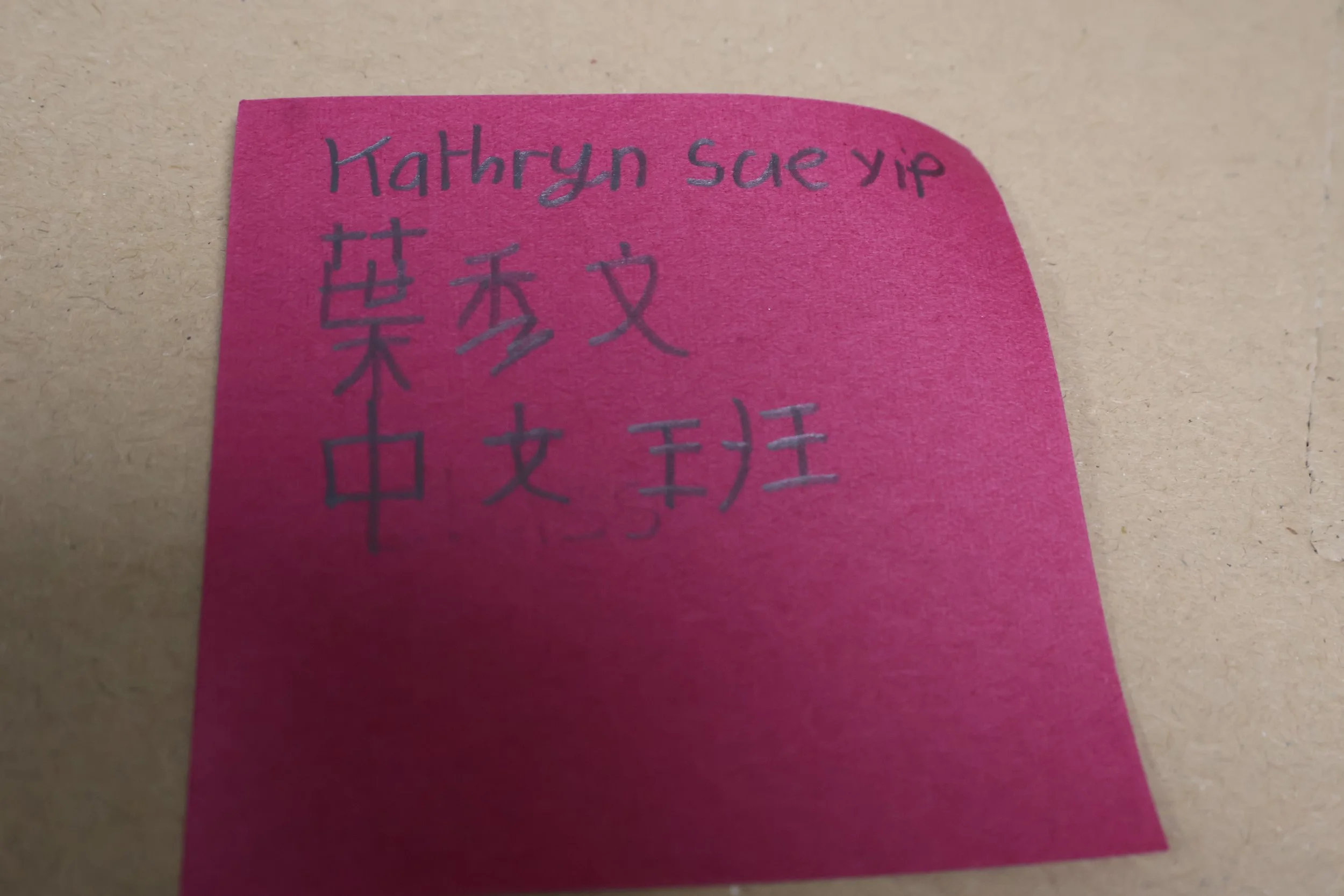 4. Kathryn Sue Yip.JPG