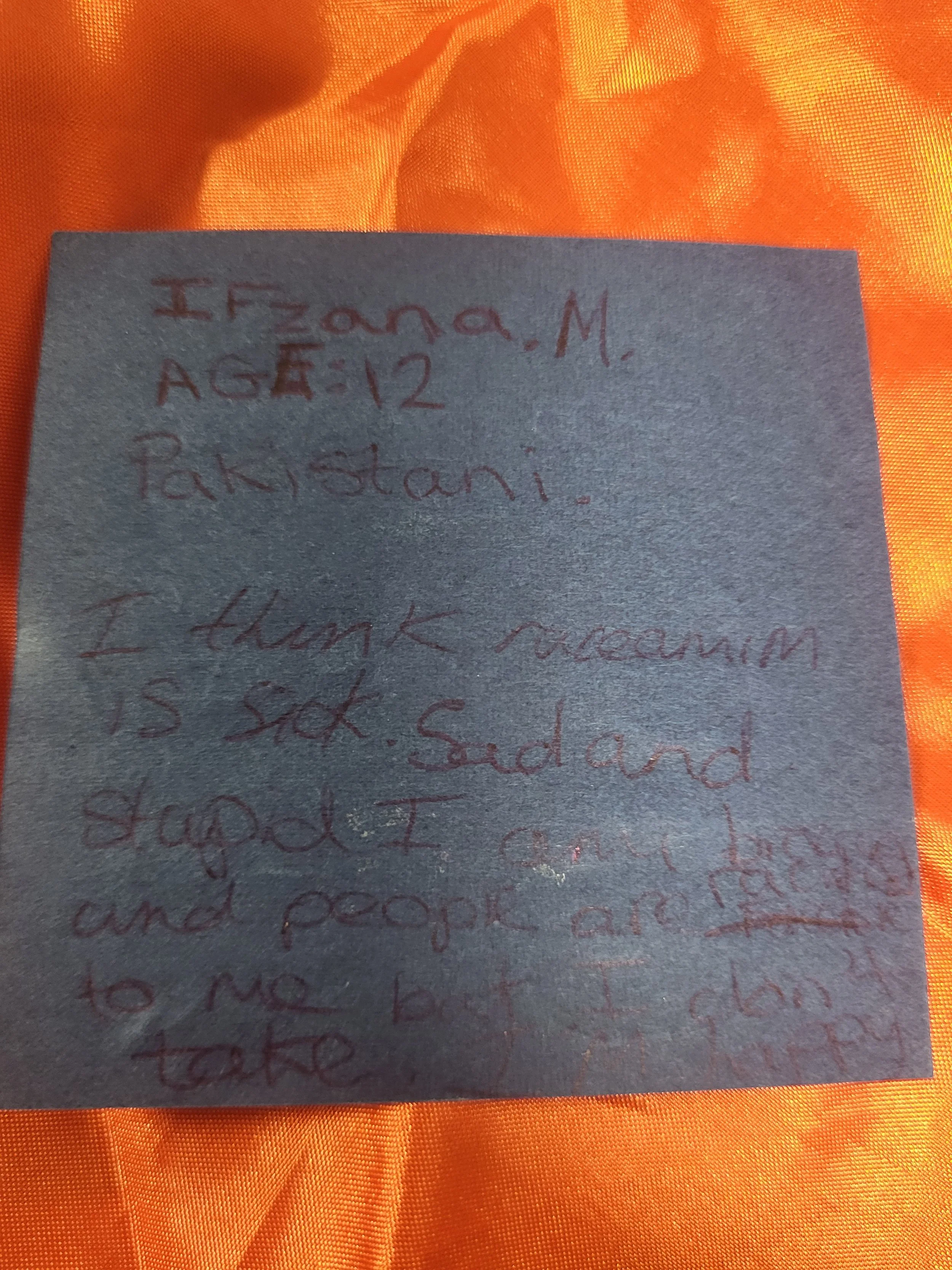 9. Ifzana.M, Age 12, Pakistani.jpg