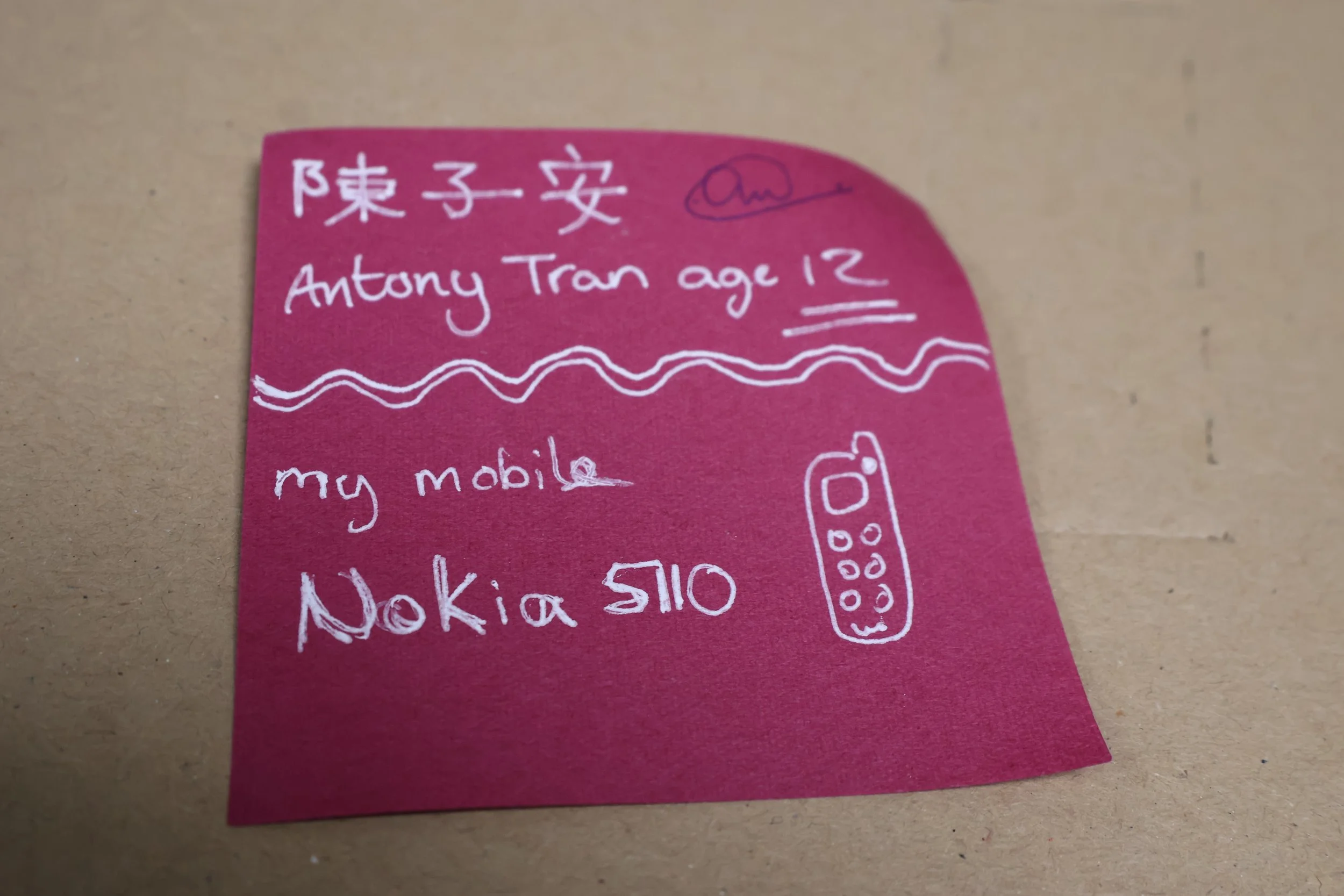 1. Antony Tran (aged 12).JPG