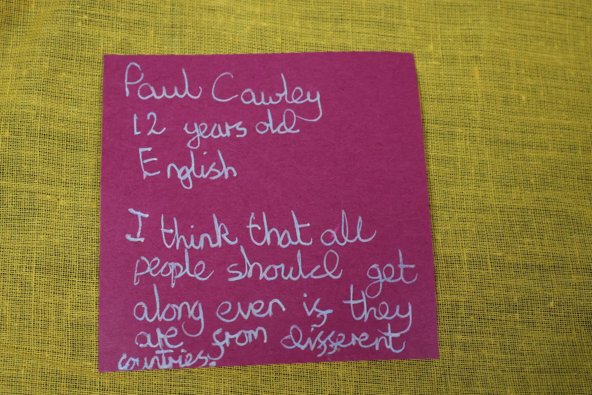 2. Paul Cawley (age 12).JPG